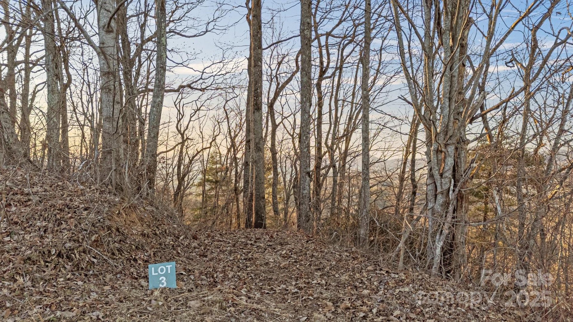 Property image 3 at Tbd Eagles Eye Drive, Hendersonville, NC 28792