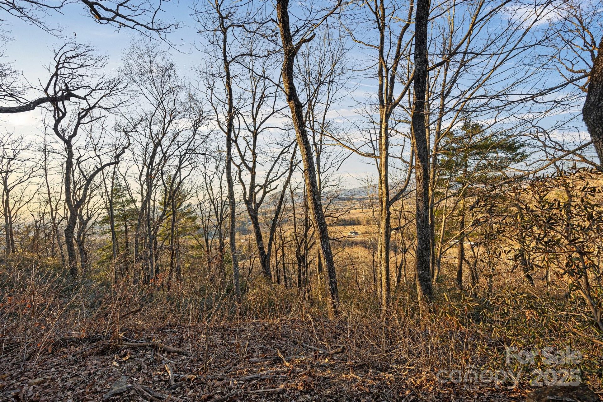 Property image 4 at Tbd Eagles Eye Drive, Hendersonville, NC 28792