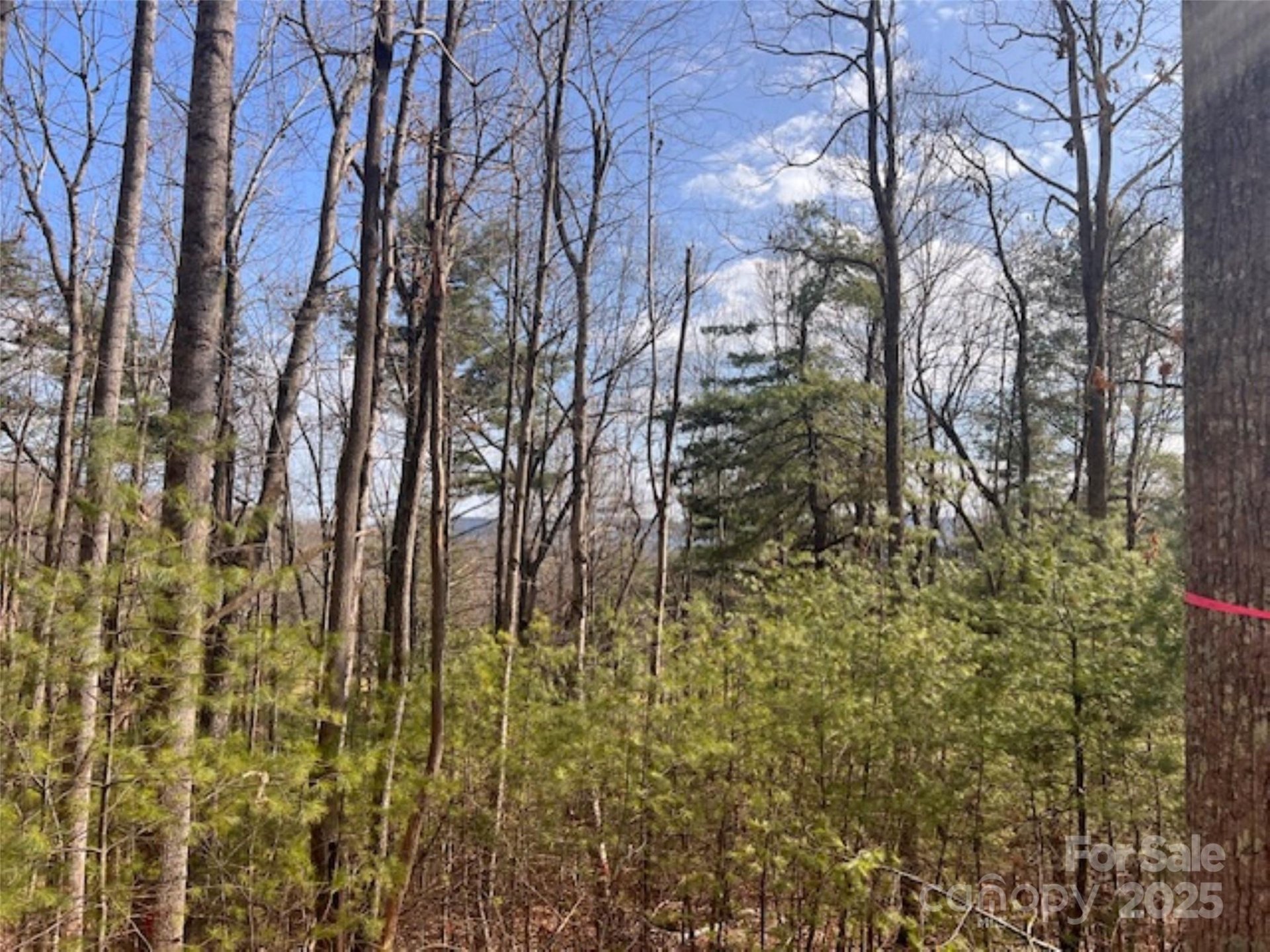 Property image 5 at 121 Bobby Jones Drive, Hendersonville, NC 28739