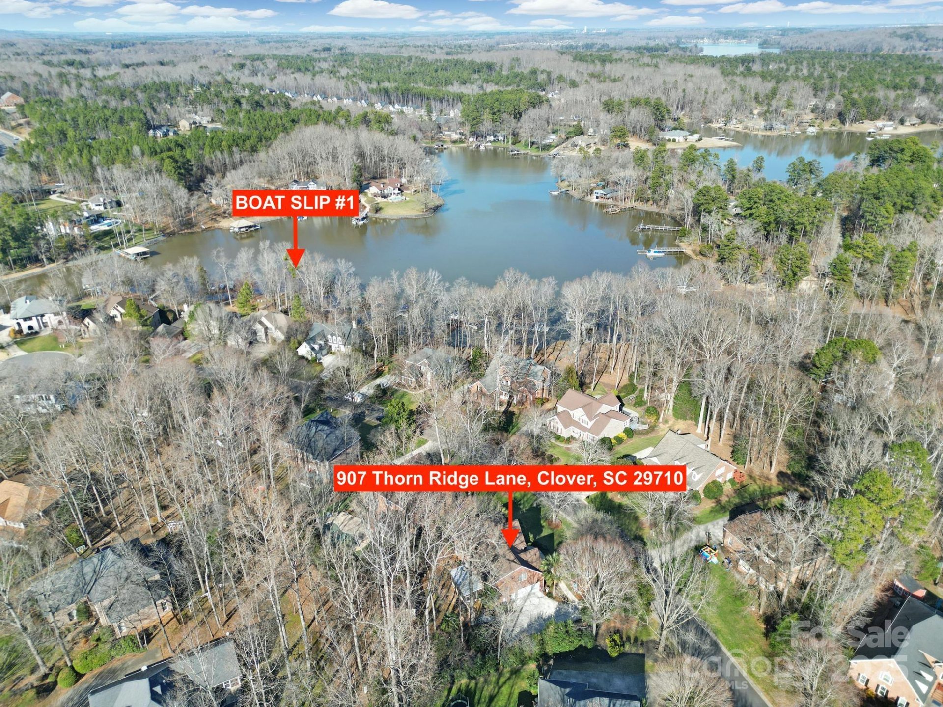 Property image 3 at 907 Thorn Ridge Lane, Lake Wylie, SC 29710