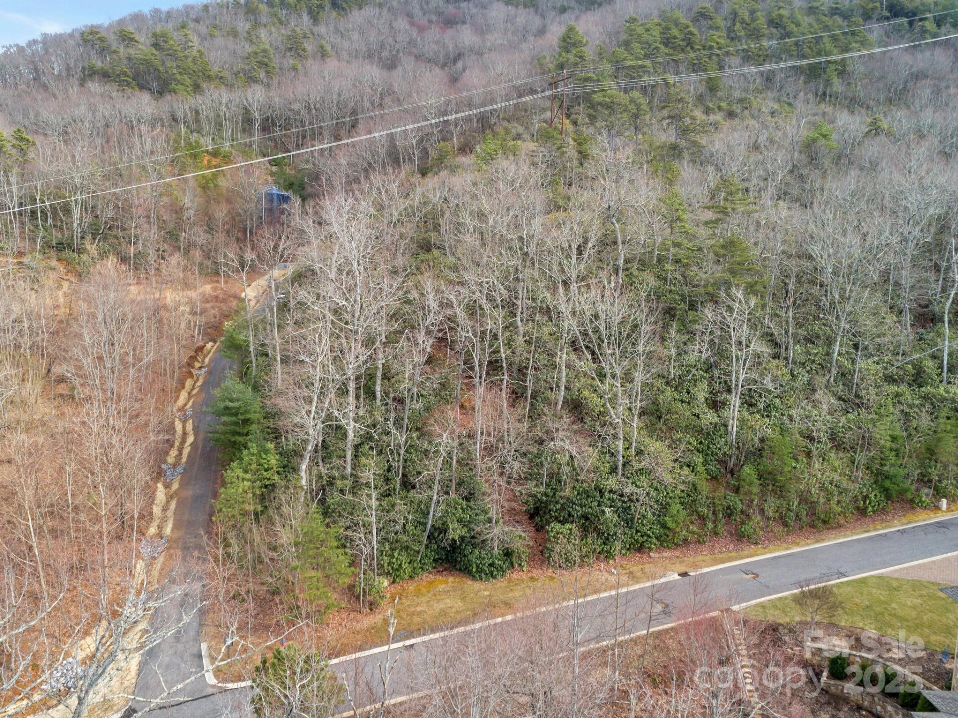 Property image 3 at 52 Sisters View Drive, Black Mountain, NC 28711