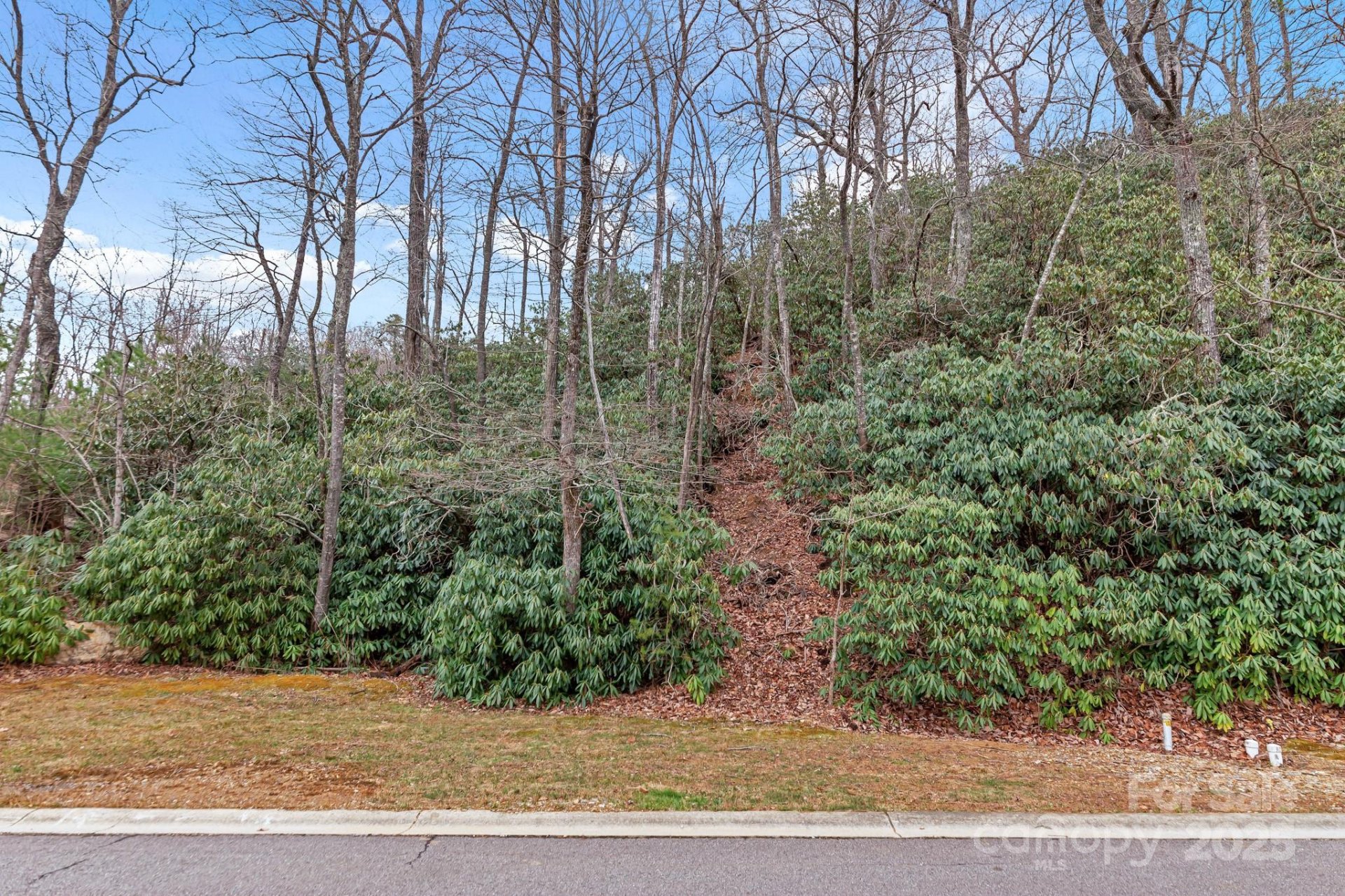 Property image 4 at 52 Sisters View Drive, Black Mountain, NC 28711