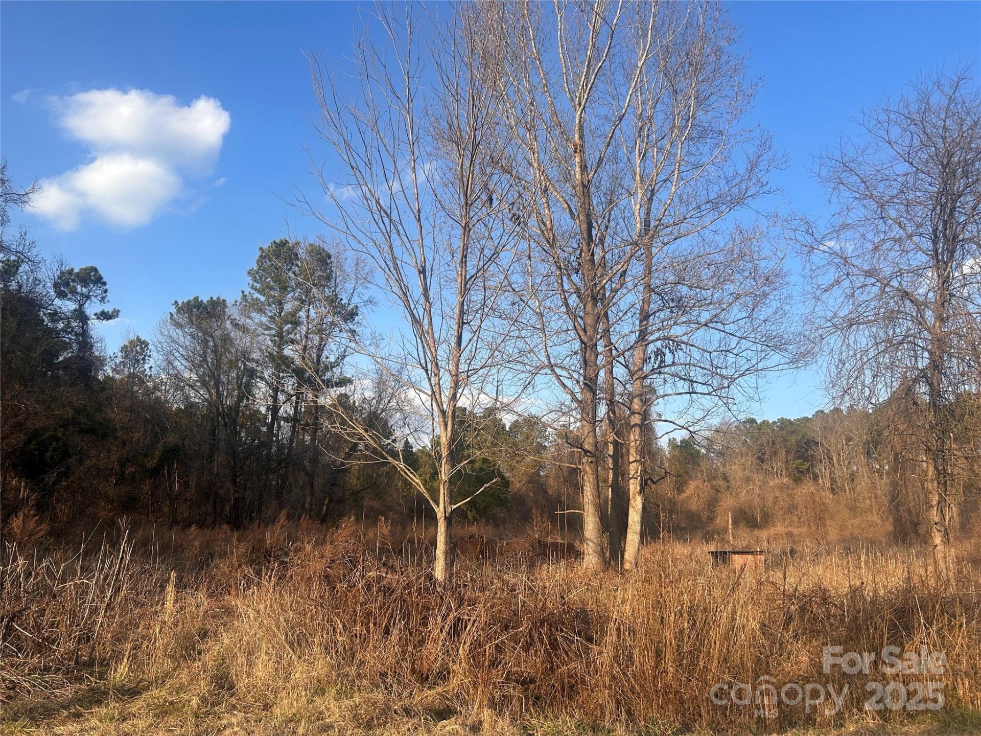 210 Ridge Road