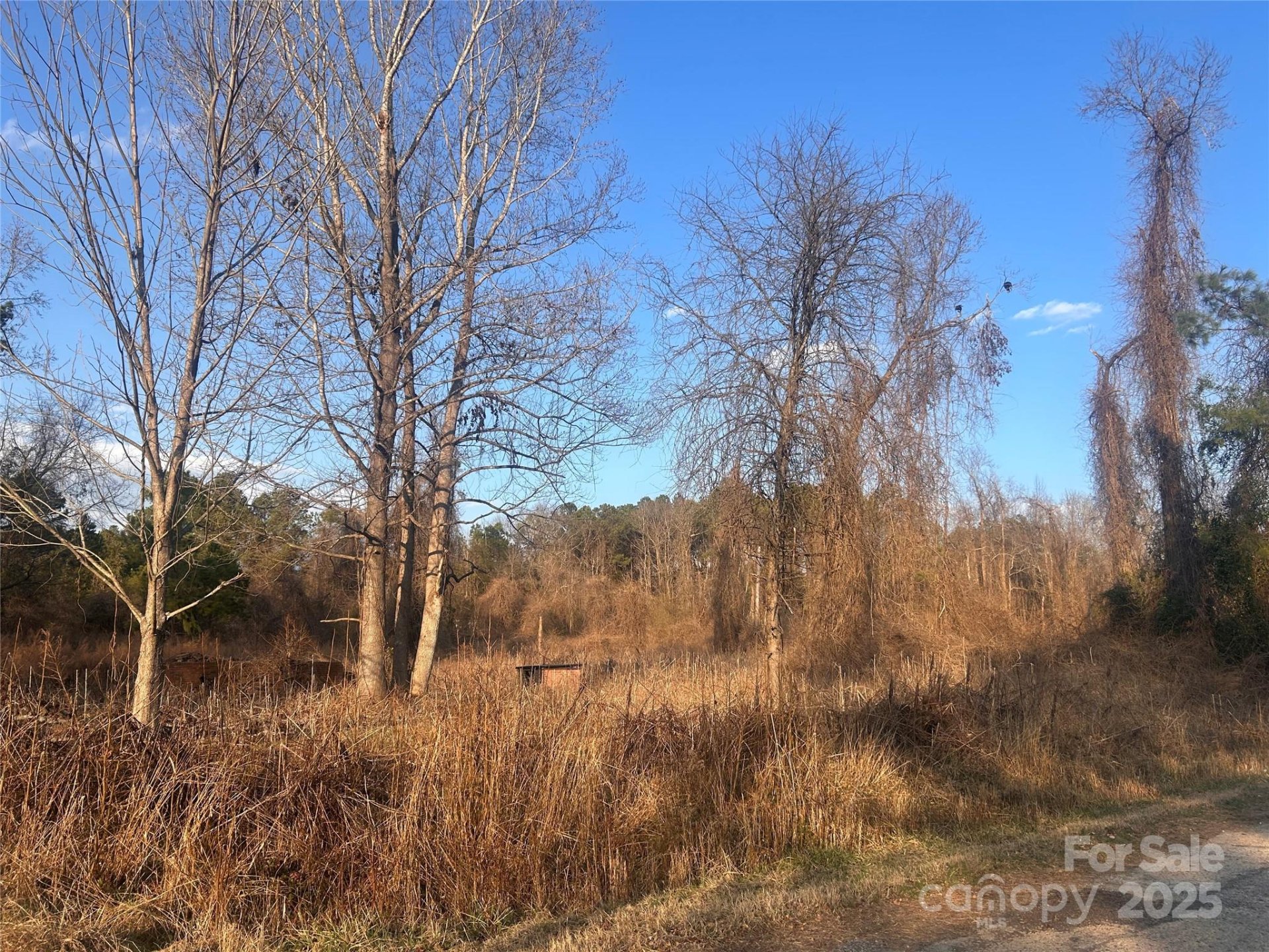 Property image 3 at 210 Ridge Road, Winnsboro, SC 29180