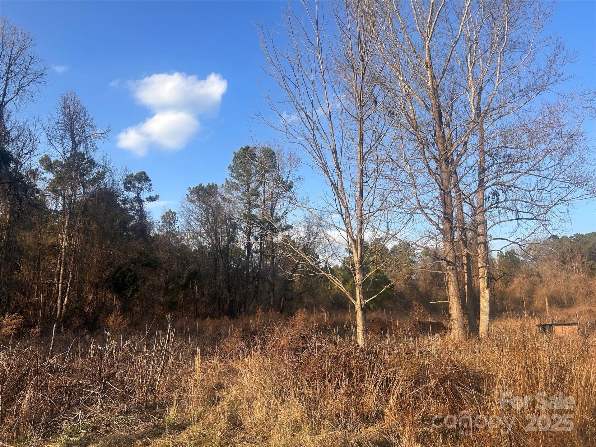 Property image 5 at 210 Ridge Road, Winnsboro, SC 29180