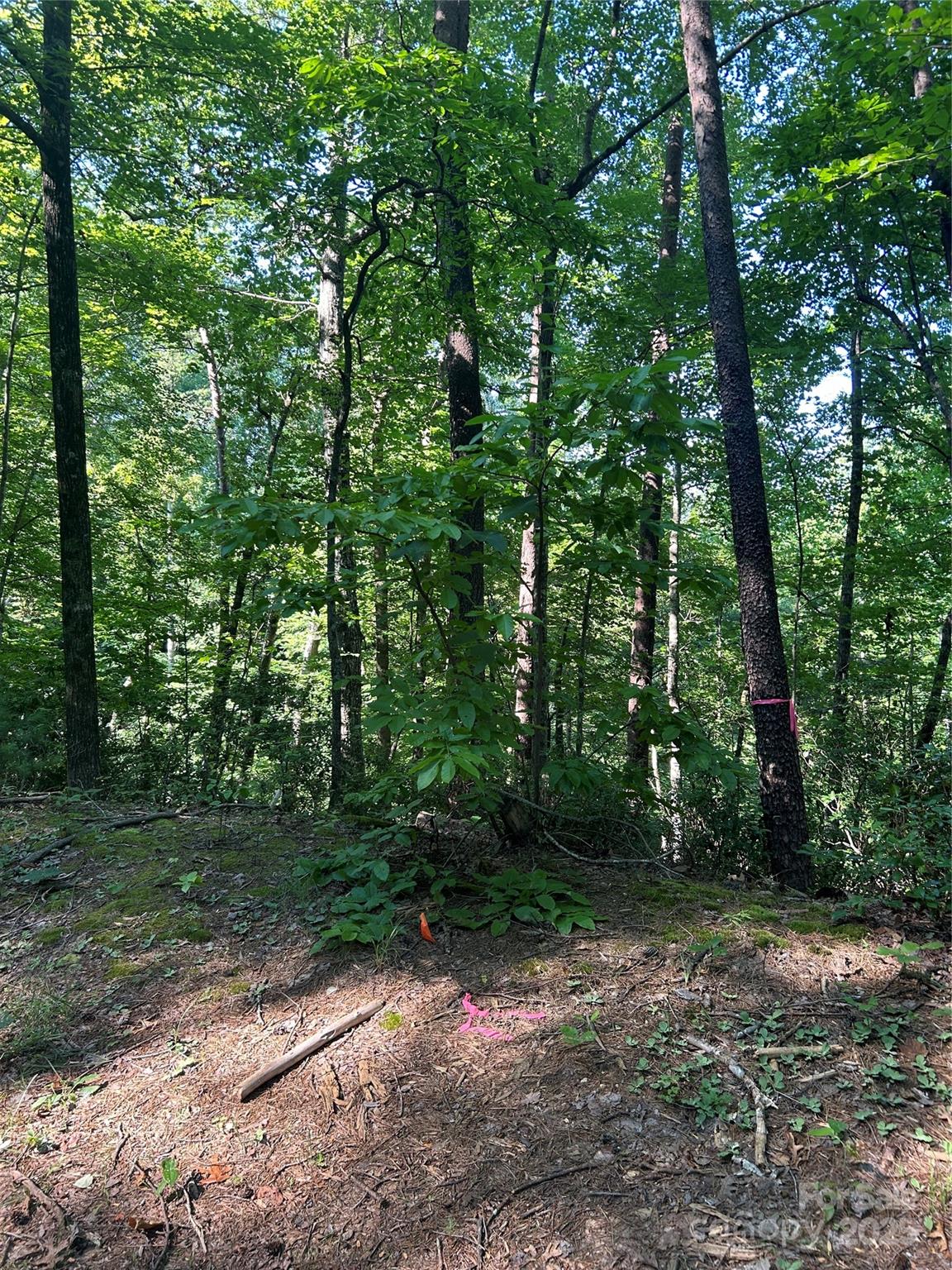 Property image 1 at 0 Falcons Avenue, Lake Lure, NC 28746