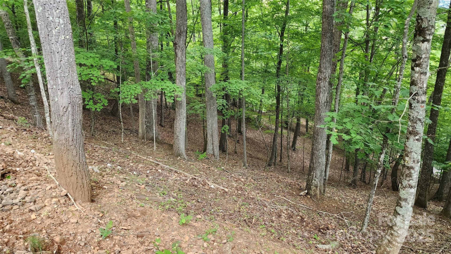 12 Hickory Springs Road