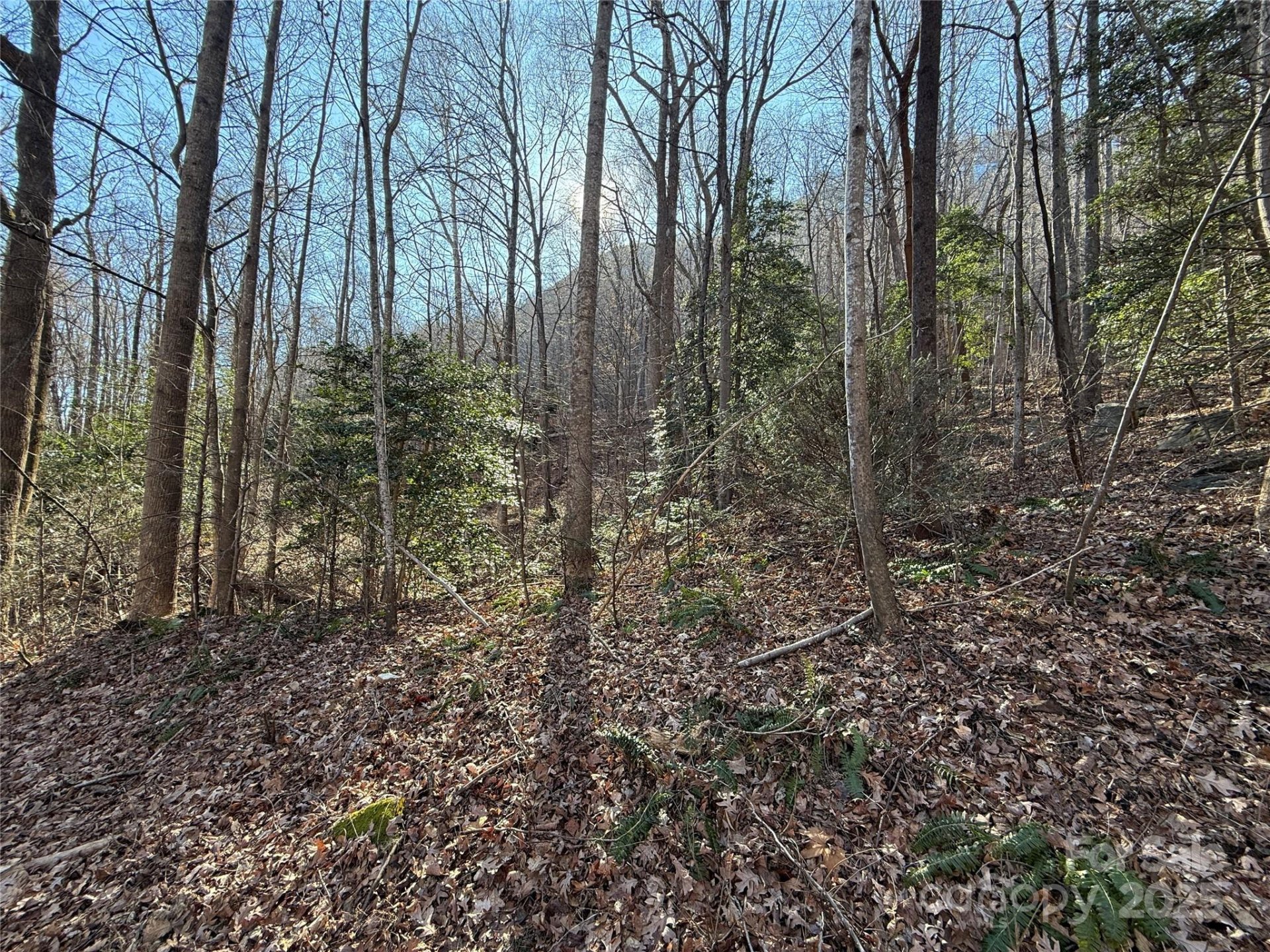 Lot 343 Bolt Road