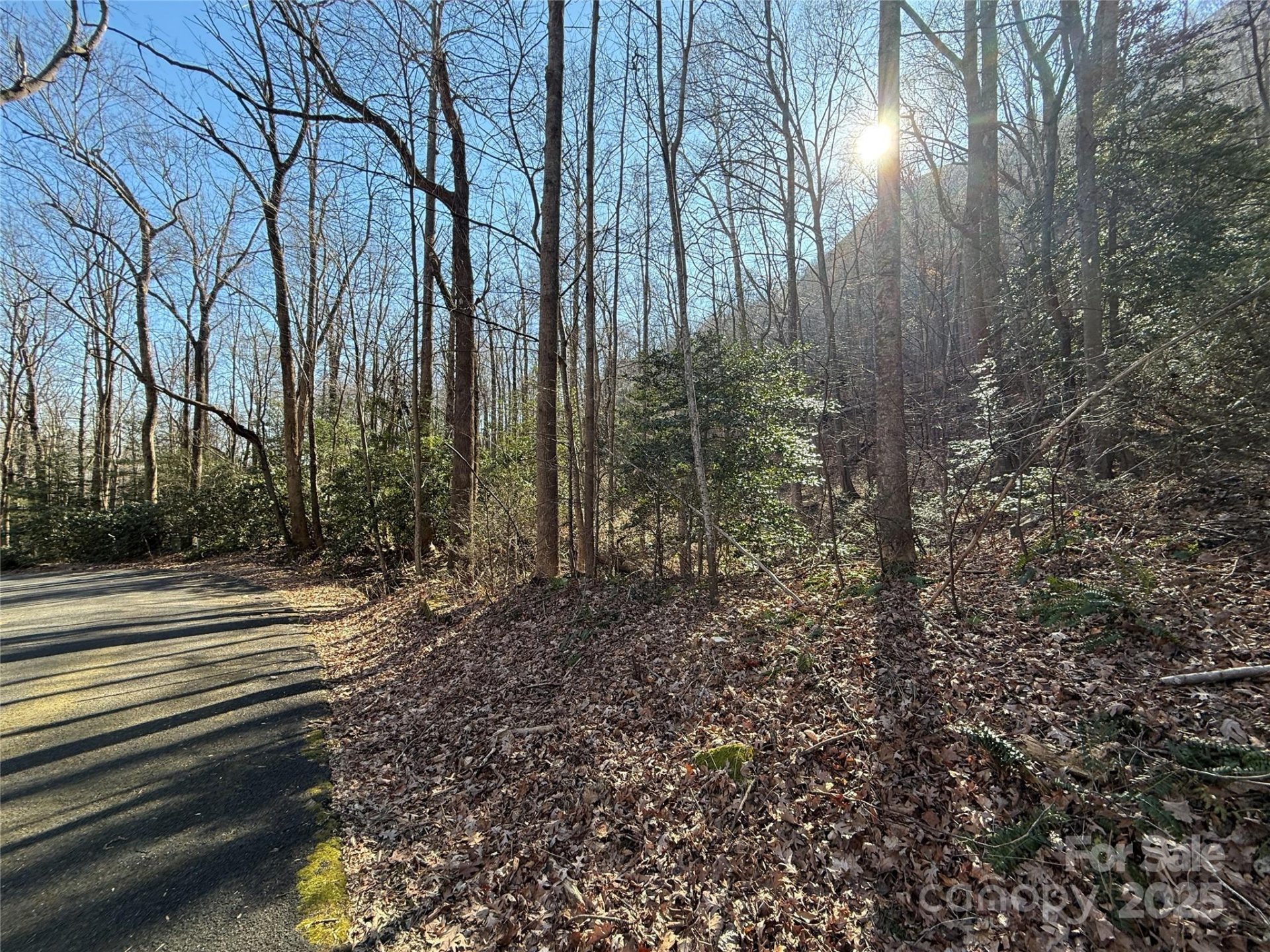 Property image 2 at Lot 343 Bolt Road, Lake Lure, NC 28746