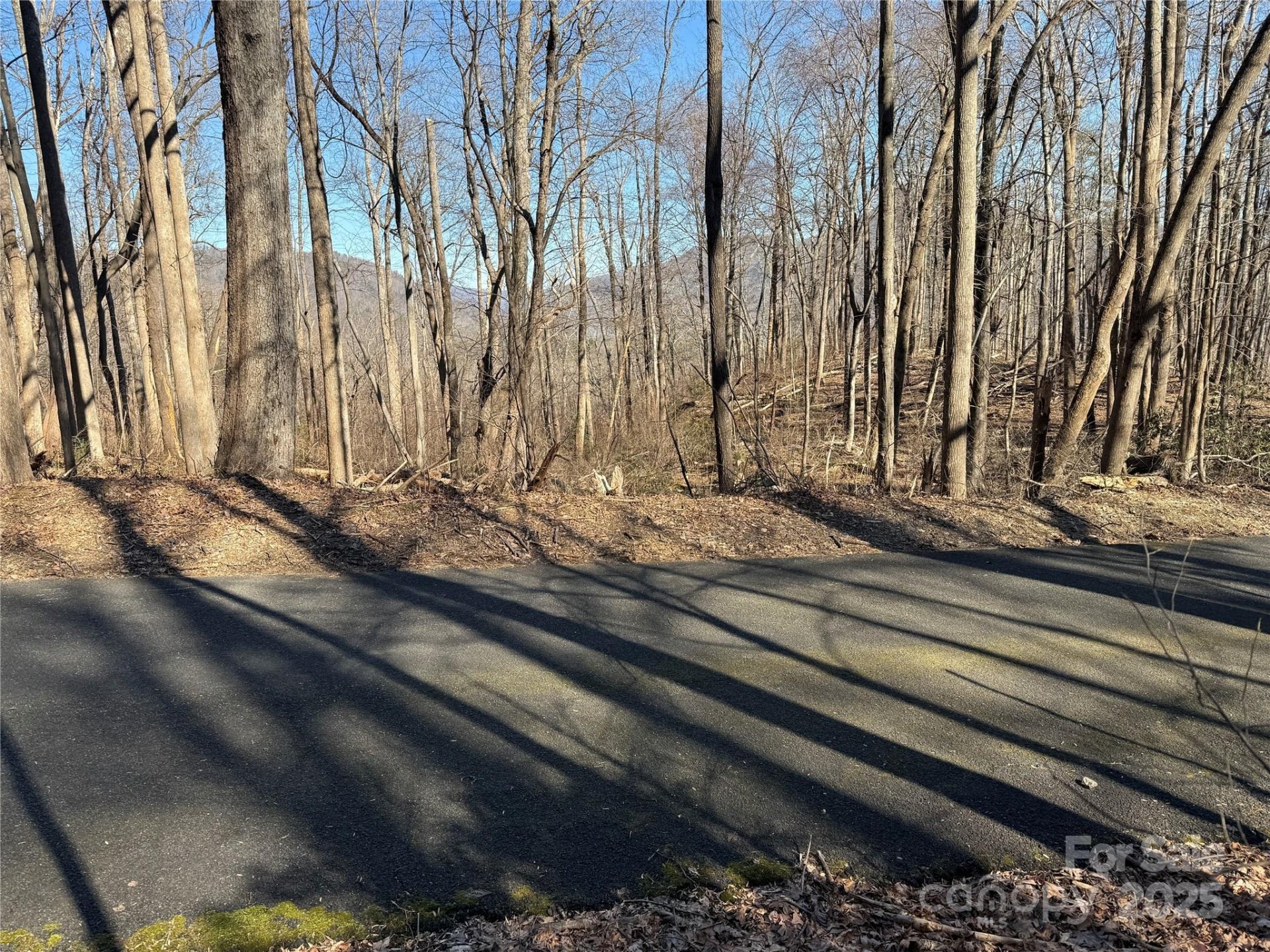 Property image 3 at Lot 343 Bolt Road, Lake Lure, NC 28746