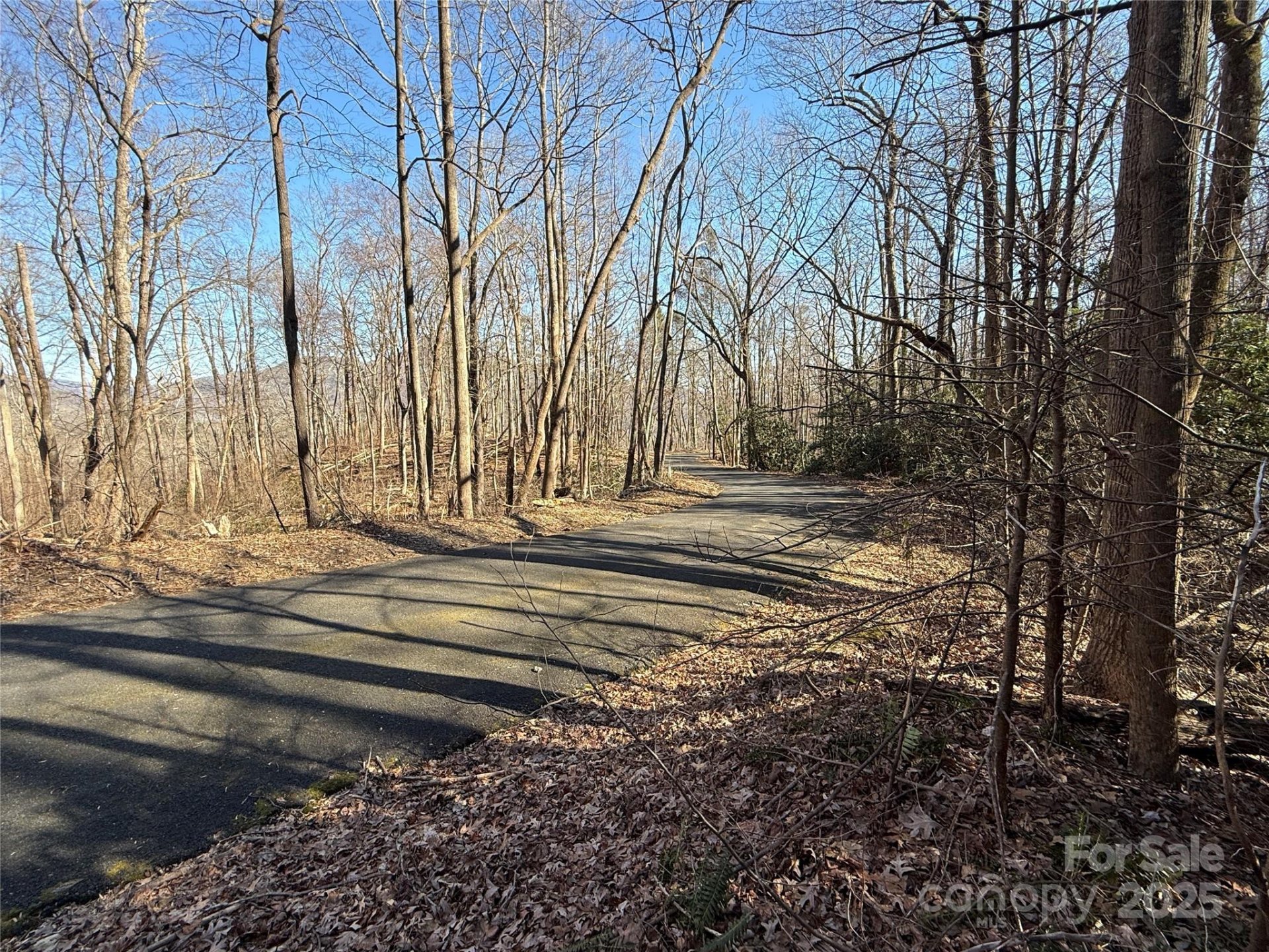 Property image 4 at Lot 343 Bolt Road, Lake Lure, NC 28746