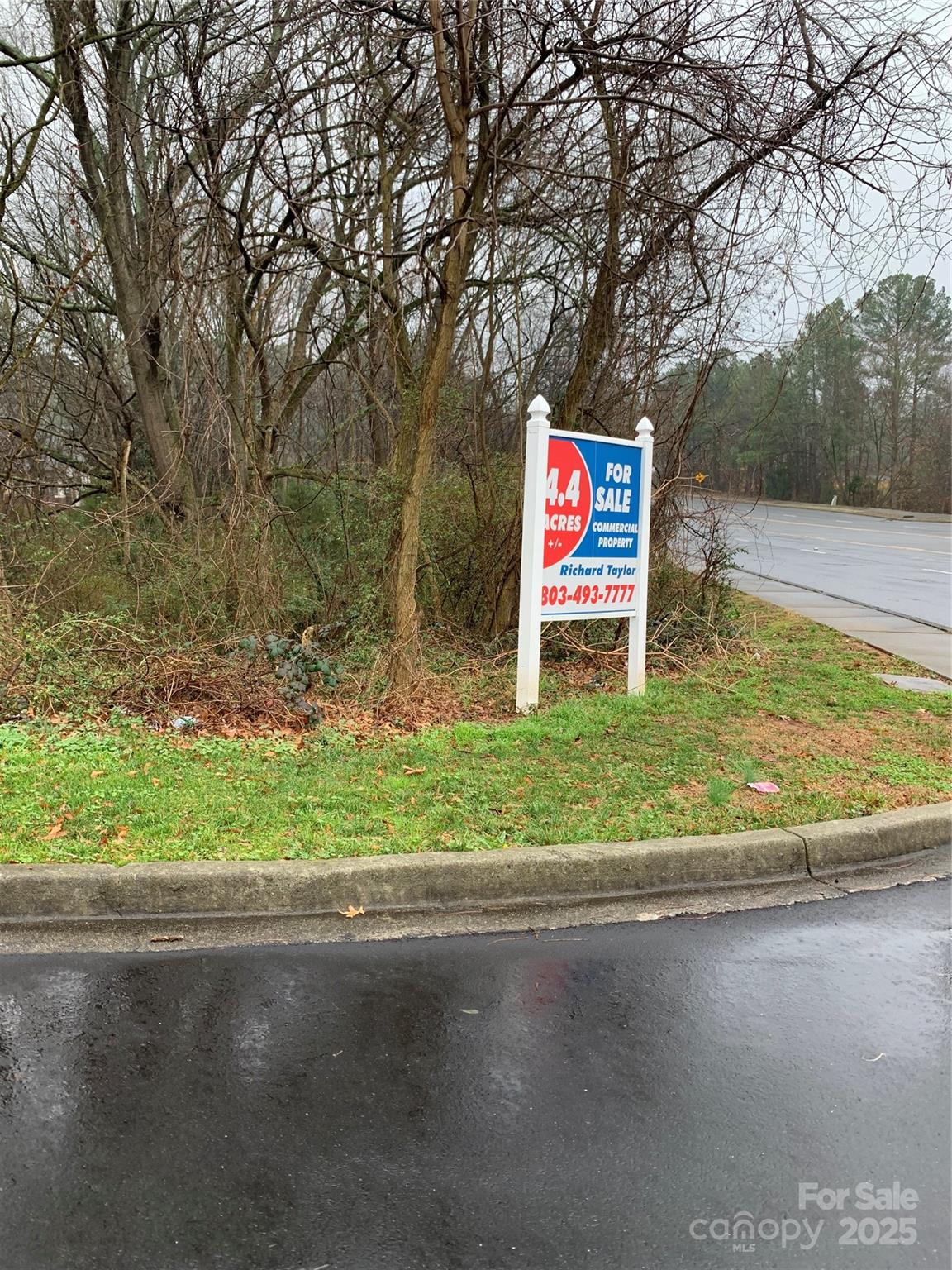 Rock Hill, Rock Hill Community