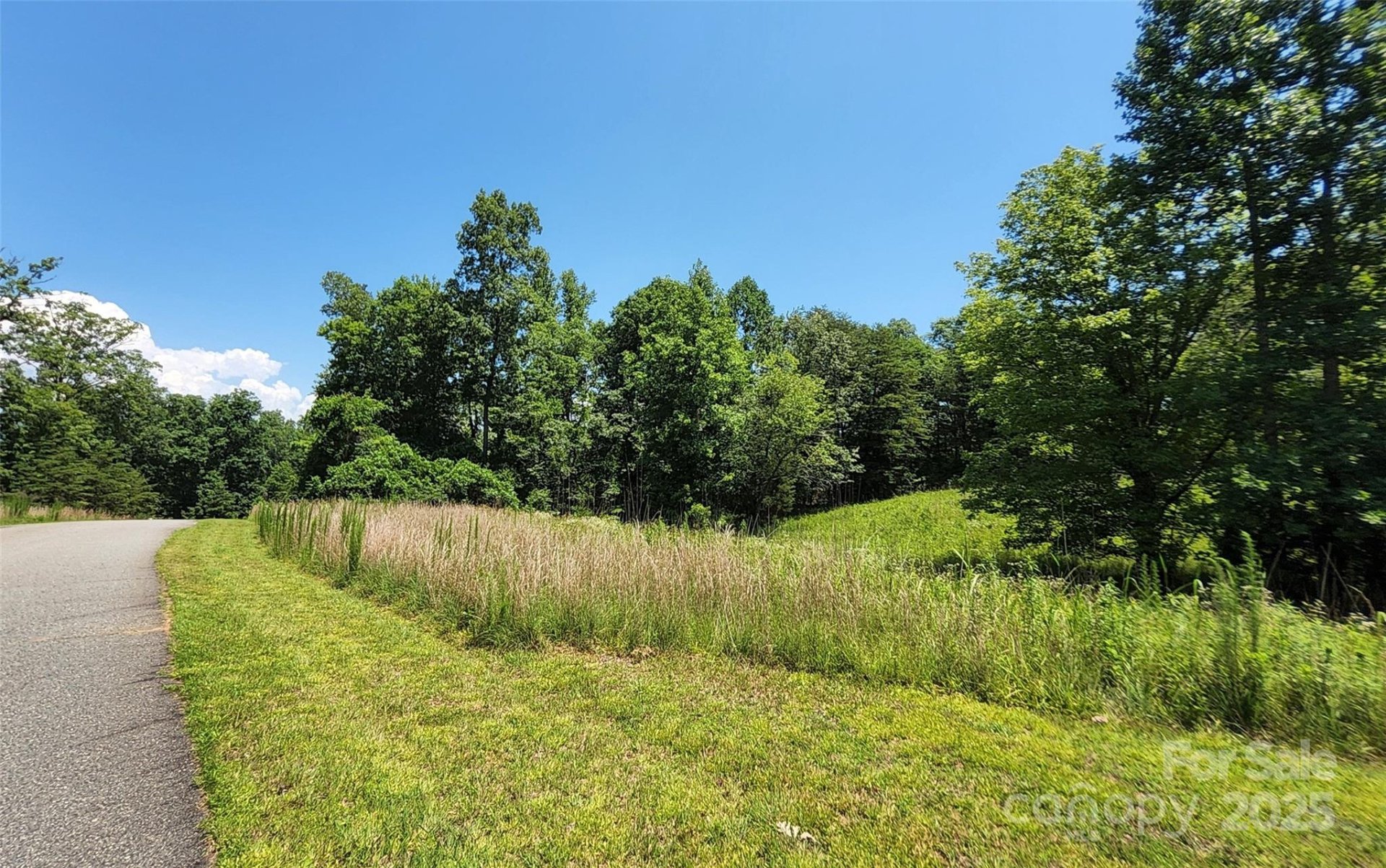 Property image 5 at 0 Shady Bark Lane, Rutherfordton, NC 28139
