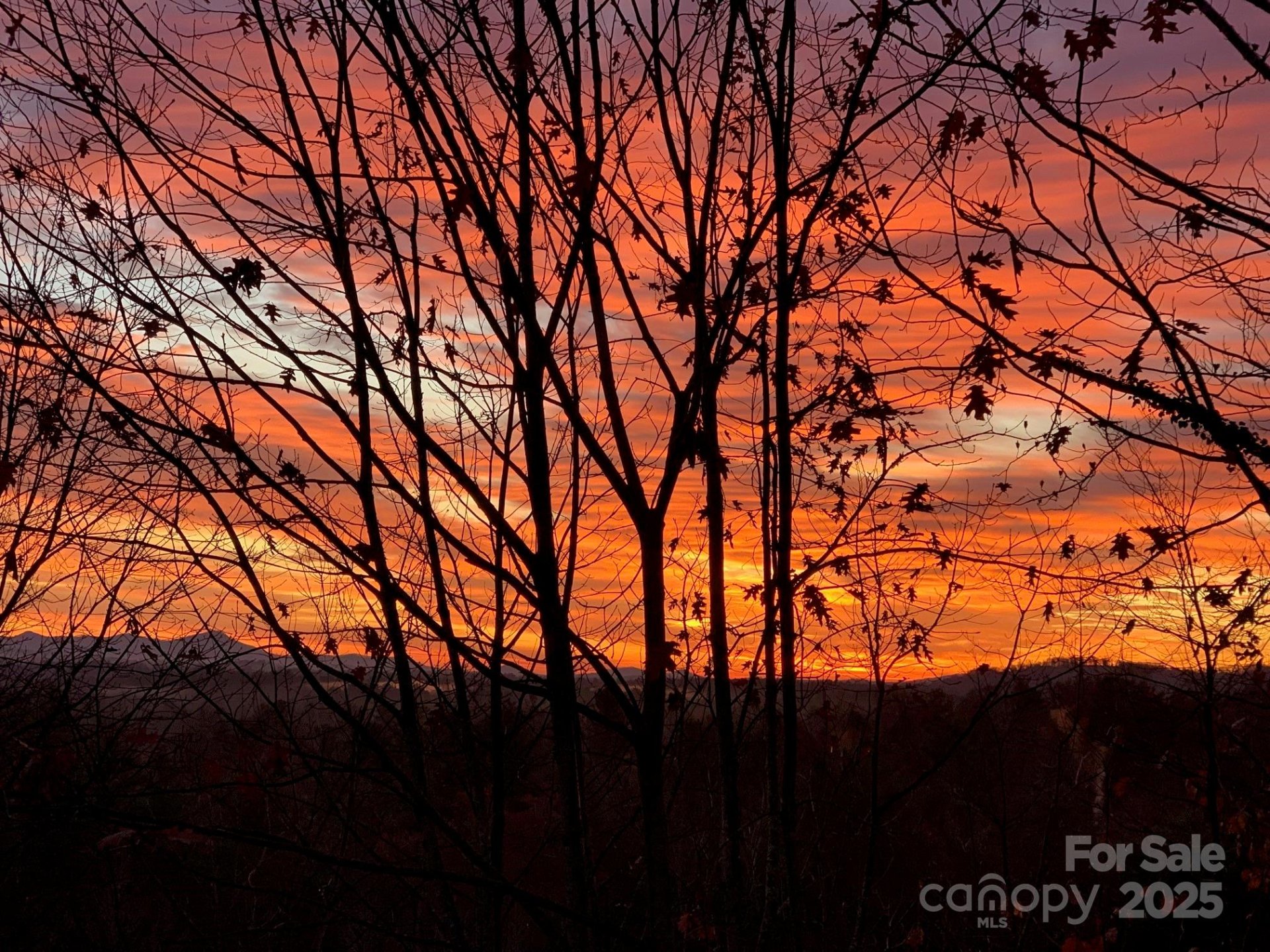 Property image 4 at 180 High Road Overlook, Hendersonville, NC 28739
