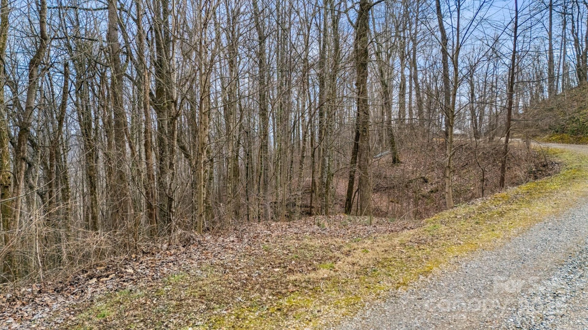 Property at Tbd Wolverine Court, Waynesville, NC 28785