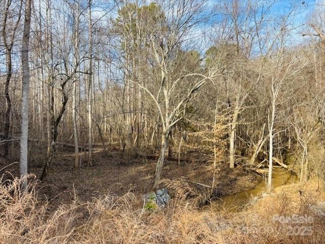 Property image 4 at 0 Clearwater Parkway, Rutherfordton, NC 28139