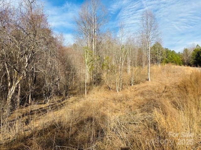 Property image 5 at 0 Clearwater Parkway, Rutherfordton, NC 28139