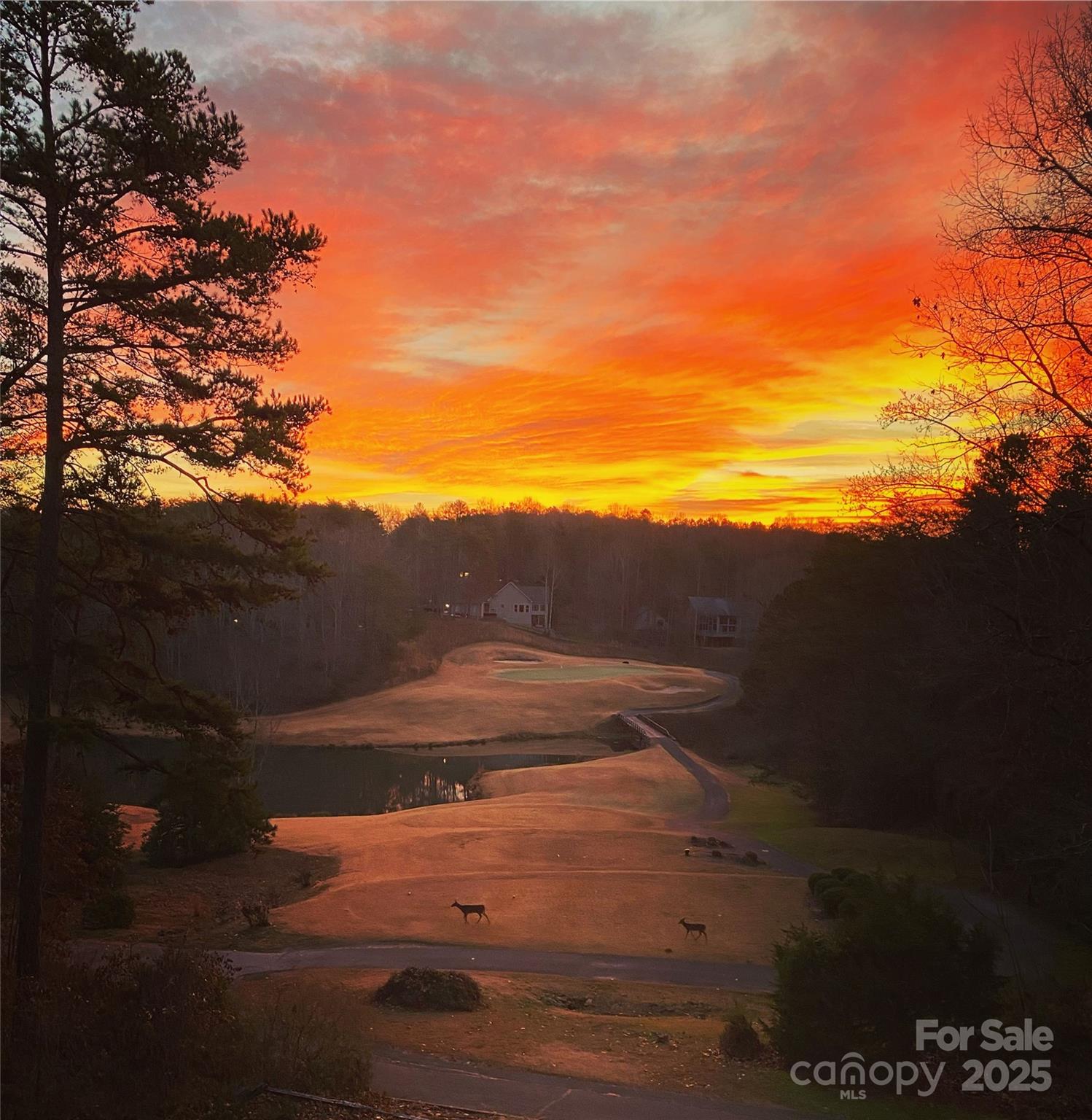 Property image 4 at 172 Summer Morning Court, Lake Lure, NC 28746