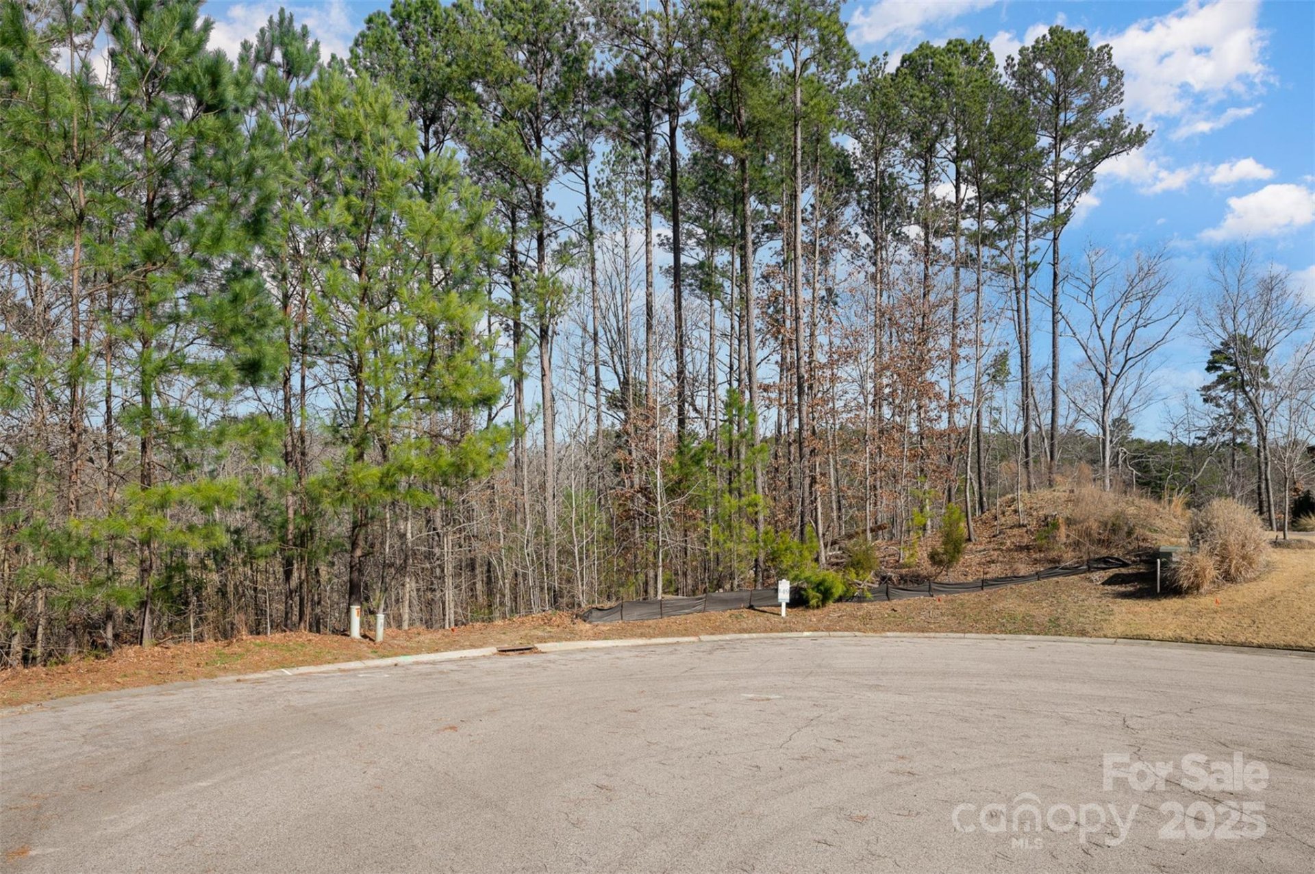 Property image 4 at 3993 Serenity Now Way, York, SC 29745