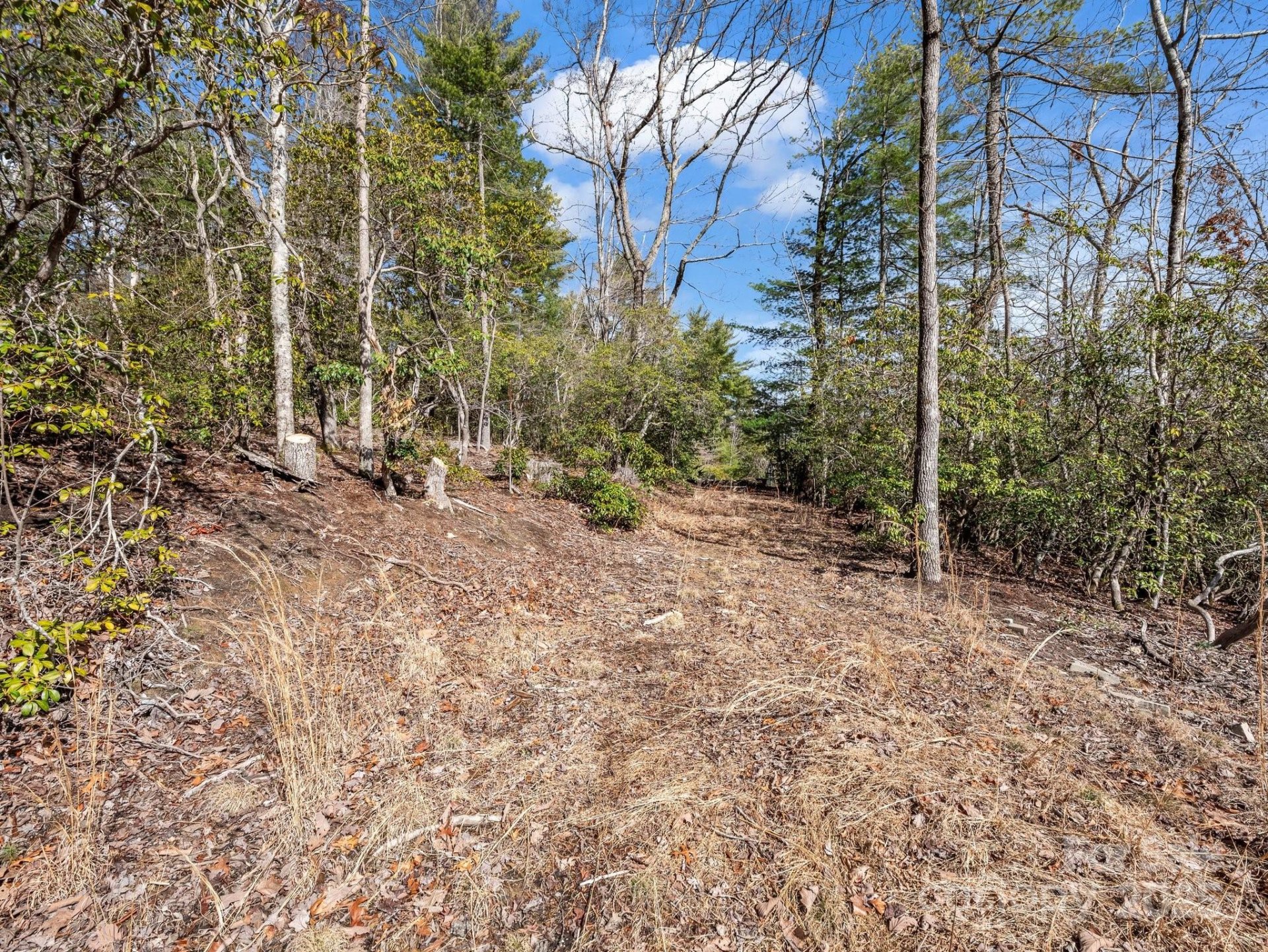 Property image 5 at 00 Winterberry Drive, Hendersonville, NC 28739
