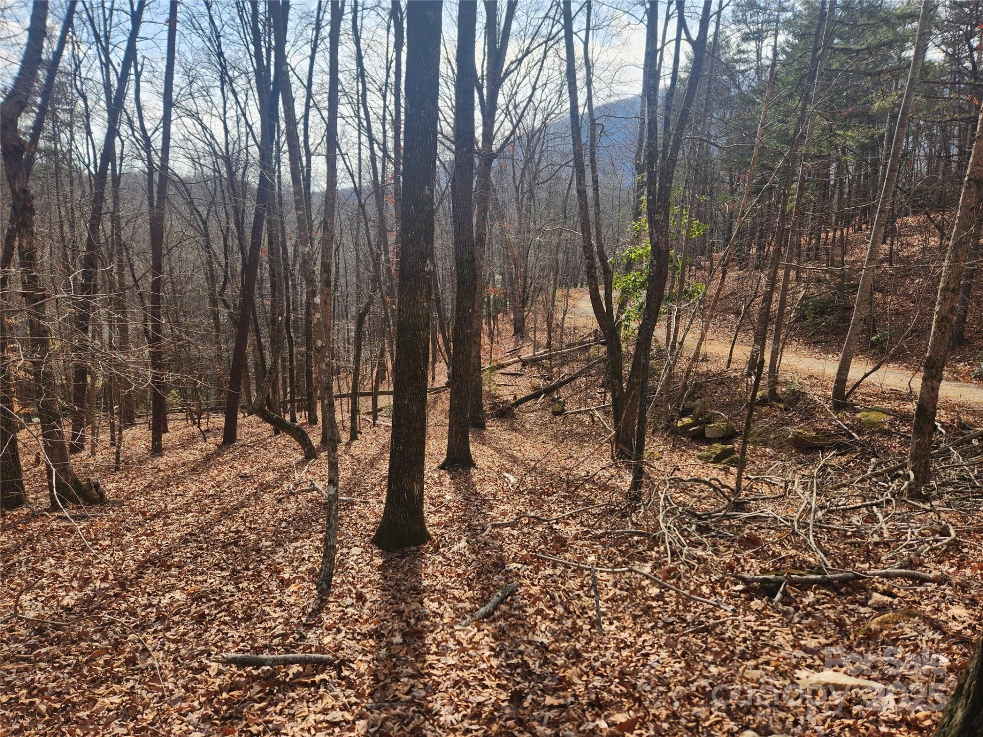 Lot 83 Walnut Lane