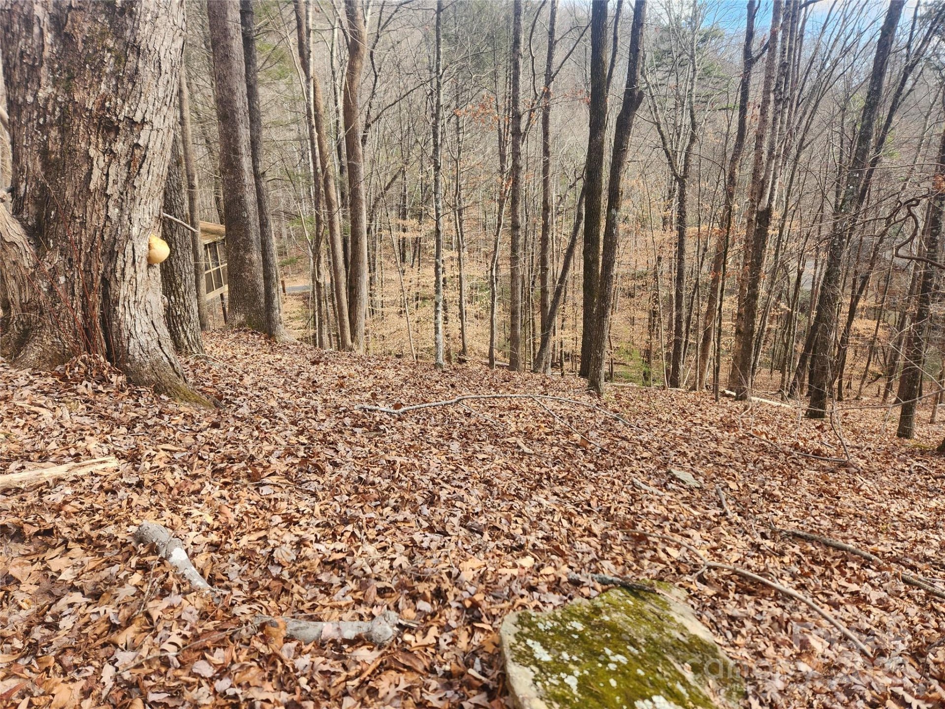 Property image 2 at Lot 83 Walnut Lane, Lake Lure, NC 28746