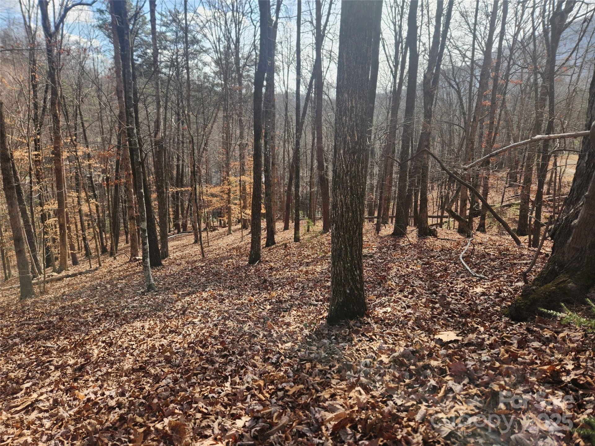 Property image 3 at Lot 83 Walnut Lane, Lake Lure, NC 28746