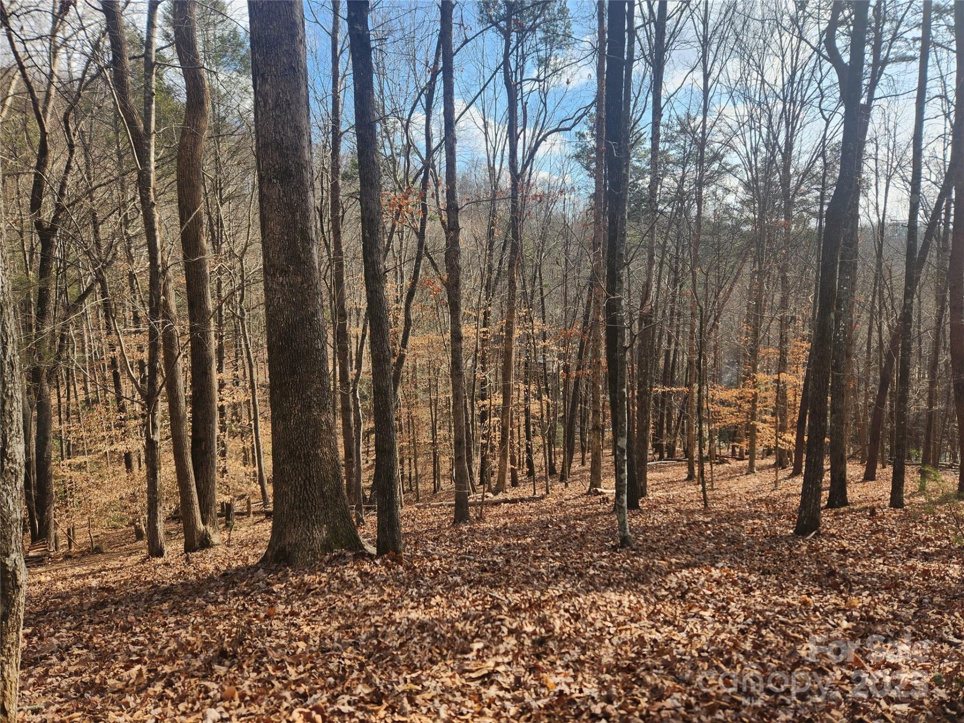Property image 4 at Lot 83 Walnut Lane, Lake Lure, NC 28746