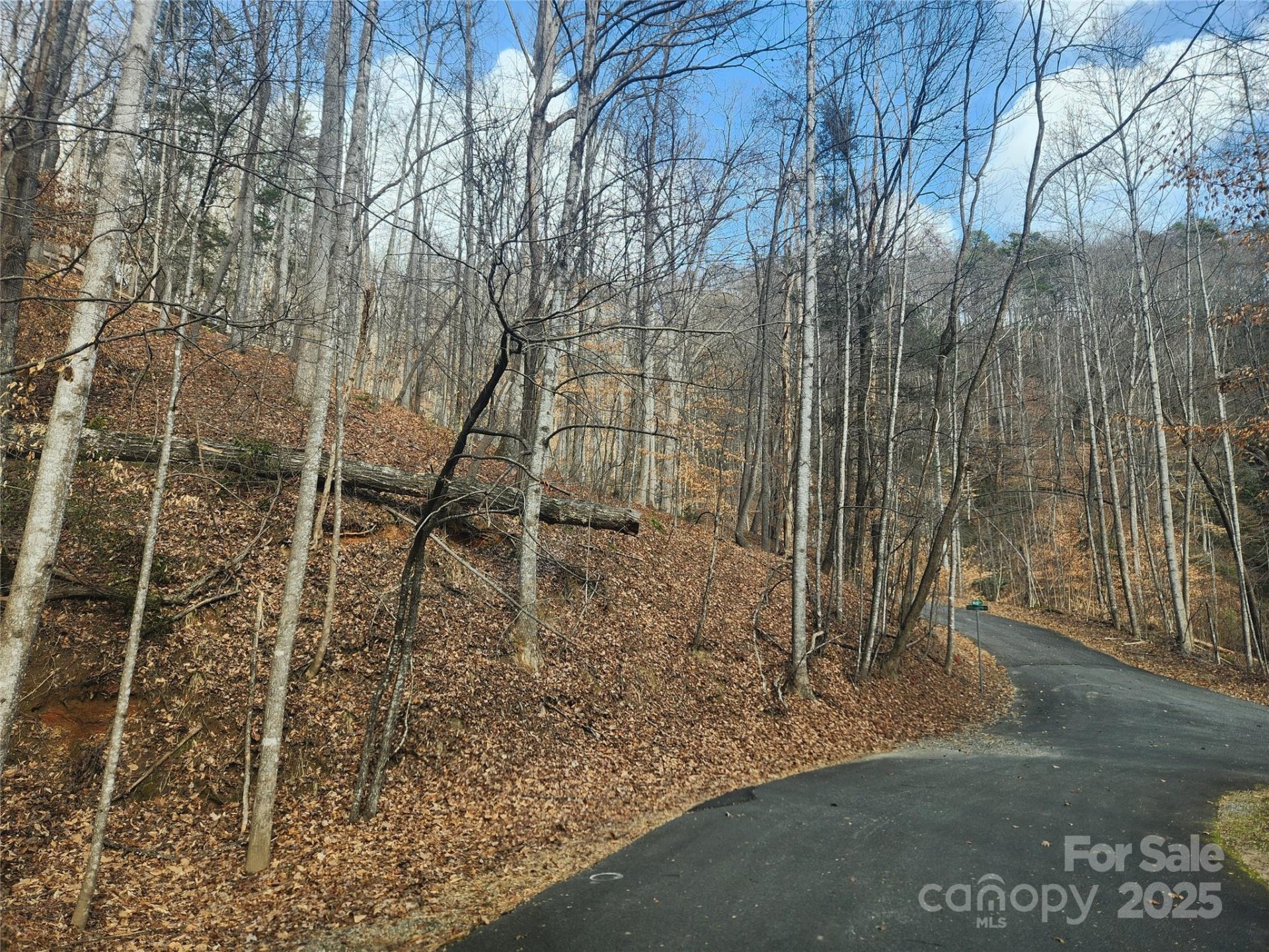 Property image 5 at Lot 83 Walnut Lane, Lake Lure, NC 28746