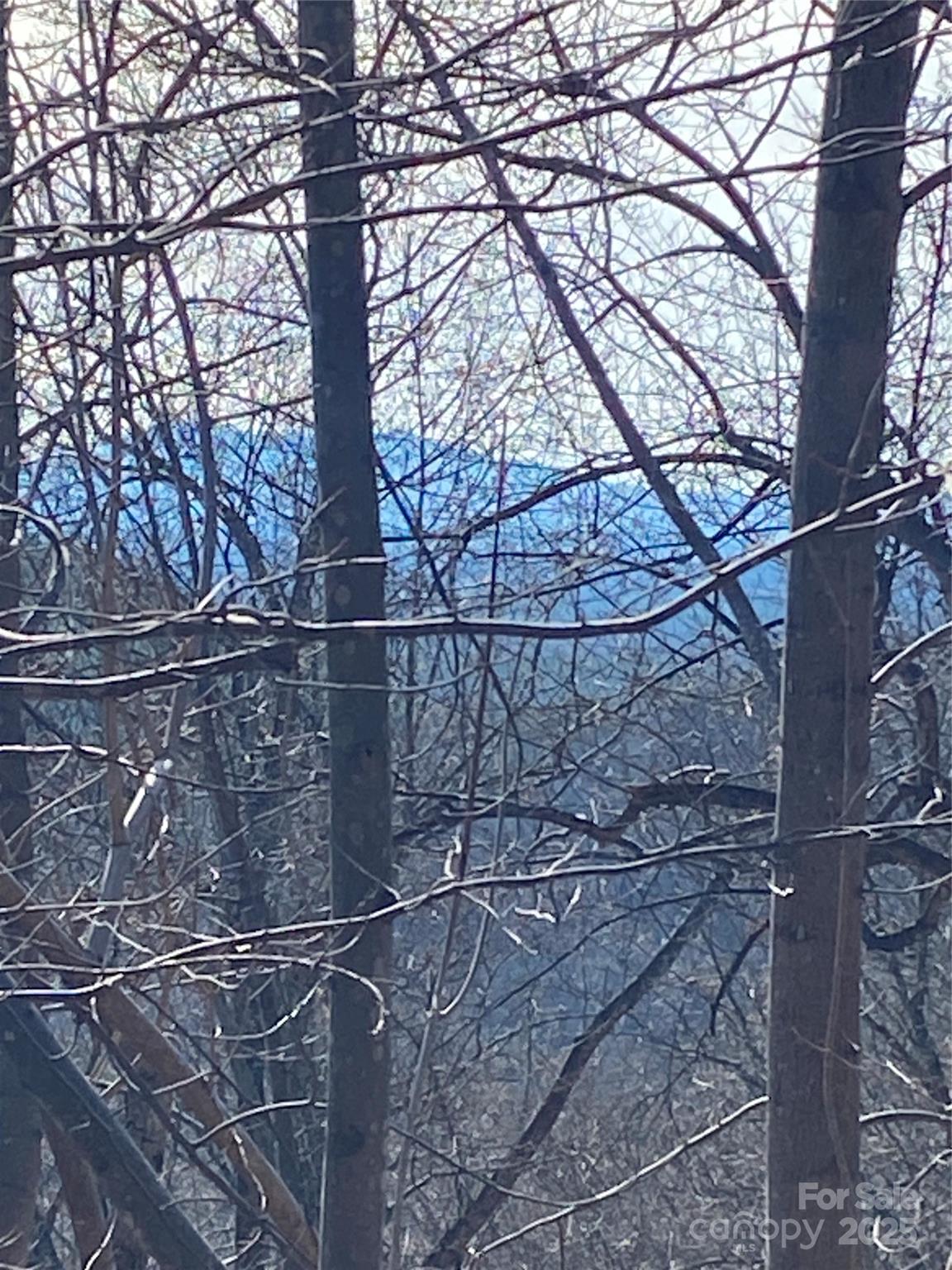 Property at 21 22 Meditation Ridge Ridge, Nebo, NC 28761