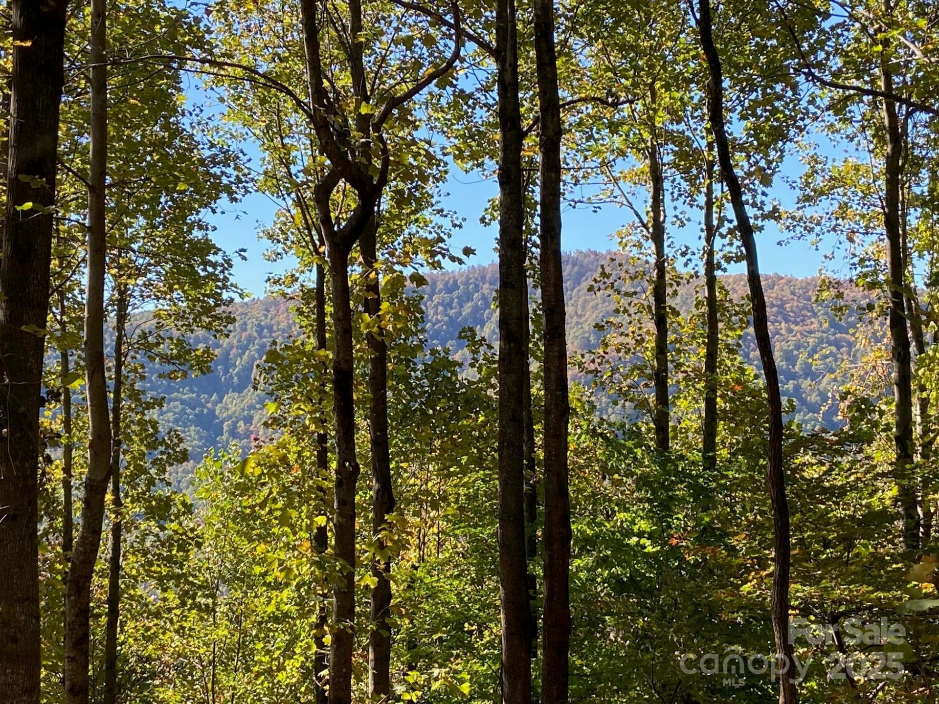 Property at 501 Warbler Lane, Black Mountain, NC 28711