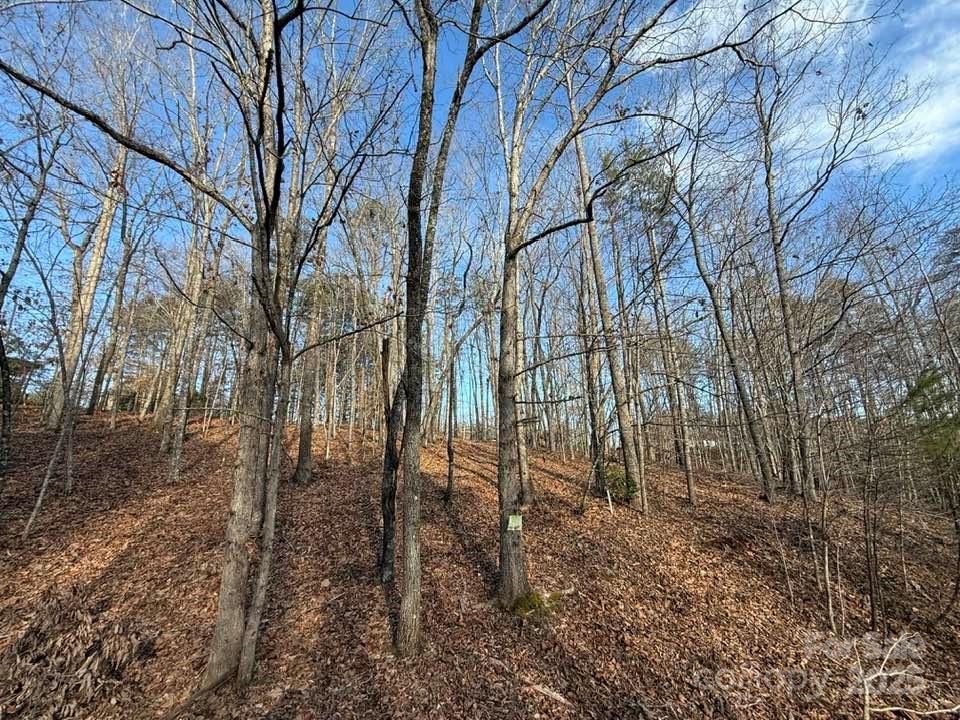 Property image 2 at Lot 47 Dublin Lane, Columbus, NC 28722