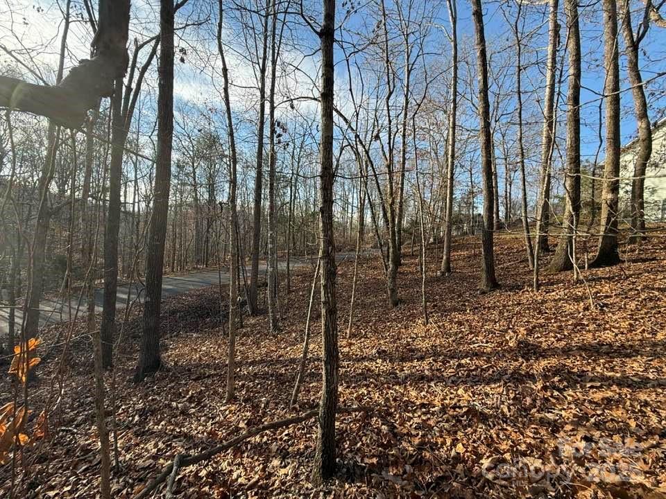 Property image 4 at Lot 47 Dublin Lane, Columbus, NC 28722