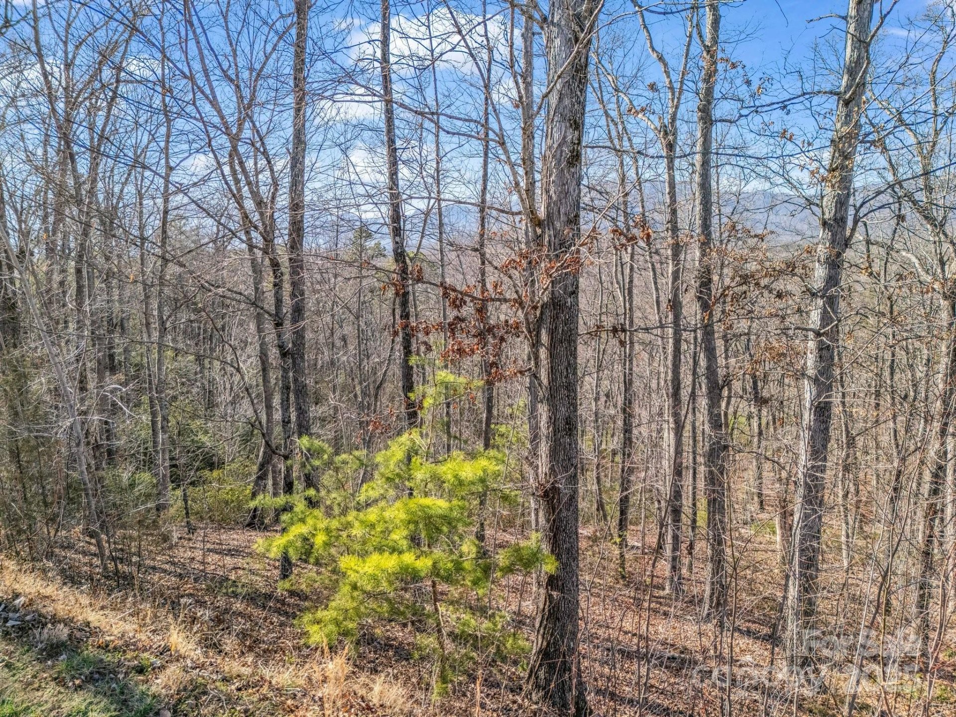 Property image 4 at 0 Golden Ridge Drive, Lake Lure, NC 28746