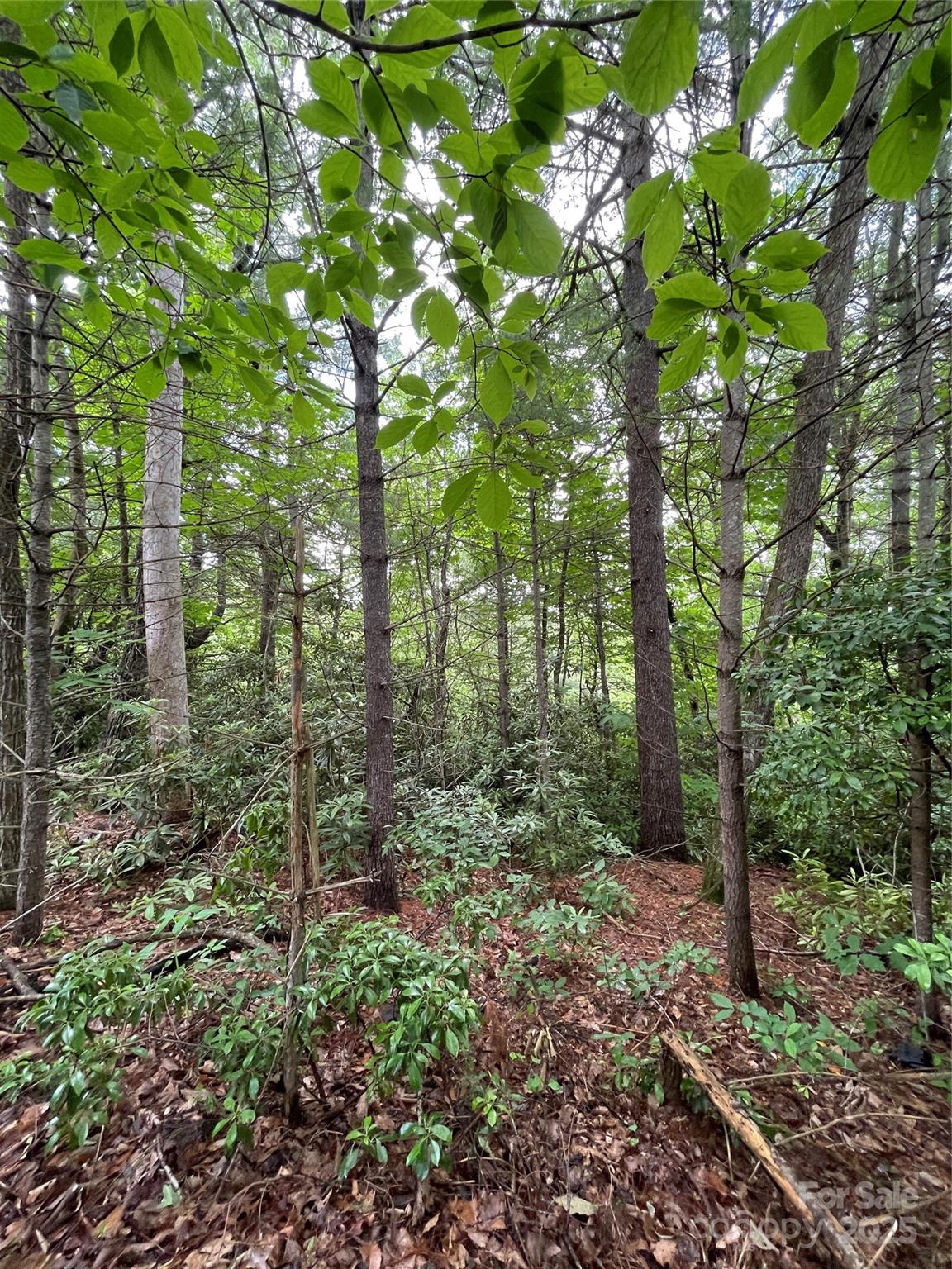 Property image 1 at 33 Woodglen Court, Flat Rock, NC 28731