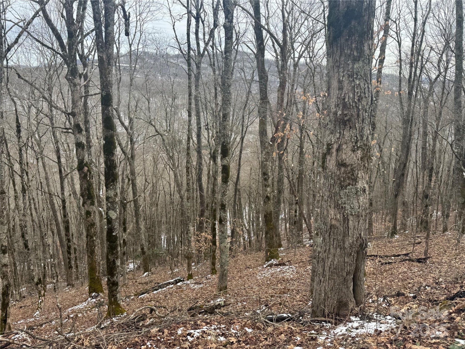 Property image 1 at 234 235 Hanging Rock Road, Mars Hill, NC 28754