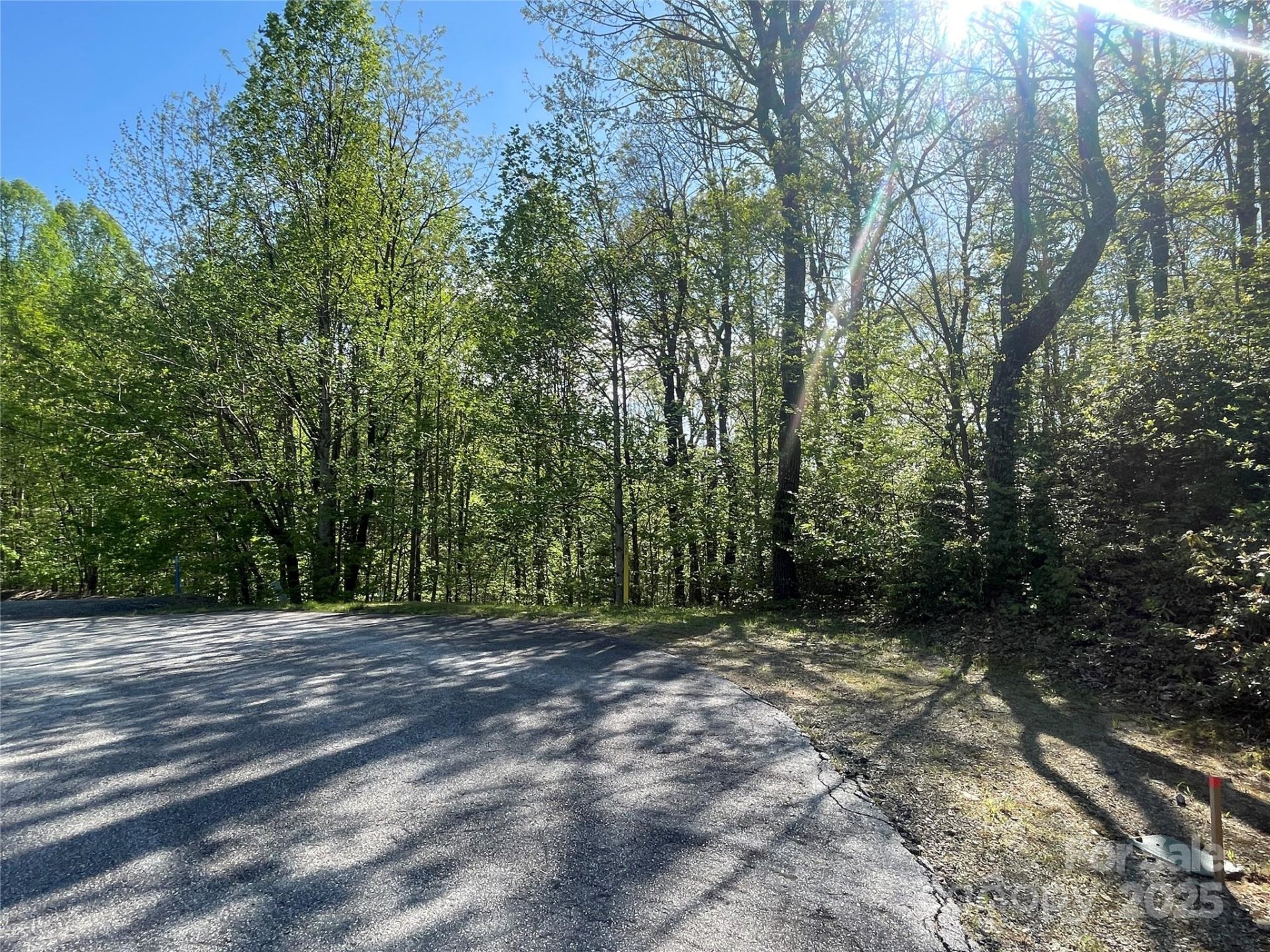 Property image 3 at 59 Mint Hill Court, Flat Rock, NC 28731
