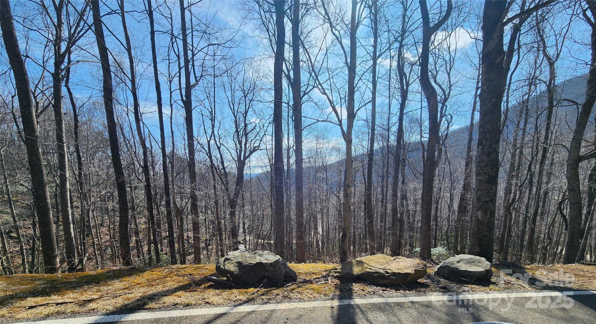 Property image 2 at 47 Wedgewood Terrace, Black Mountain, NC 28711
