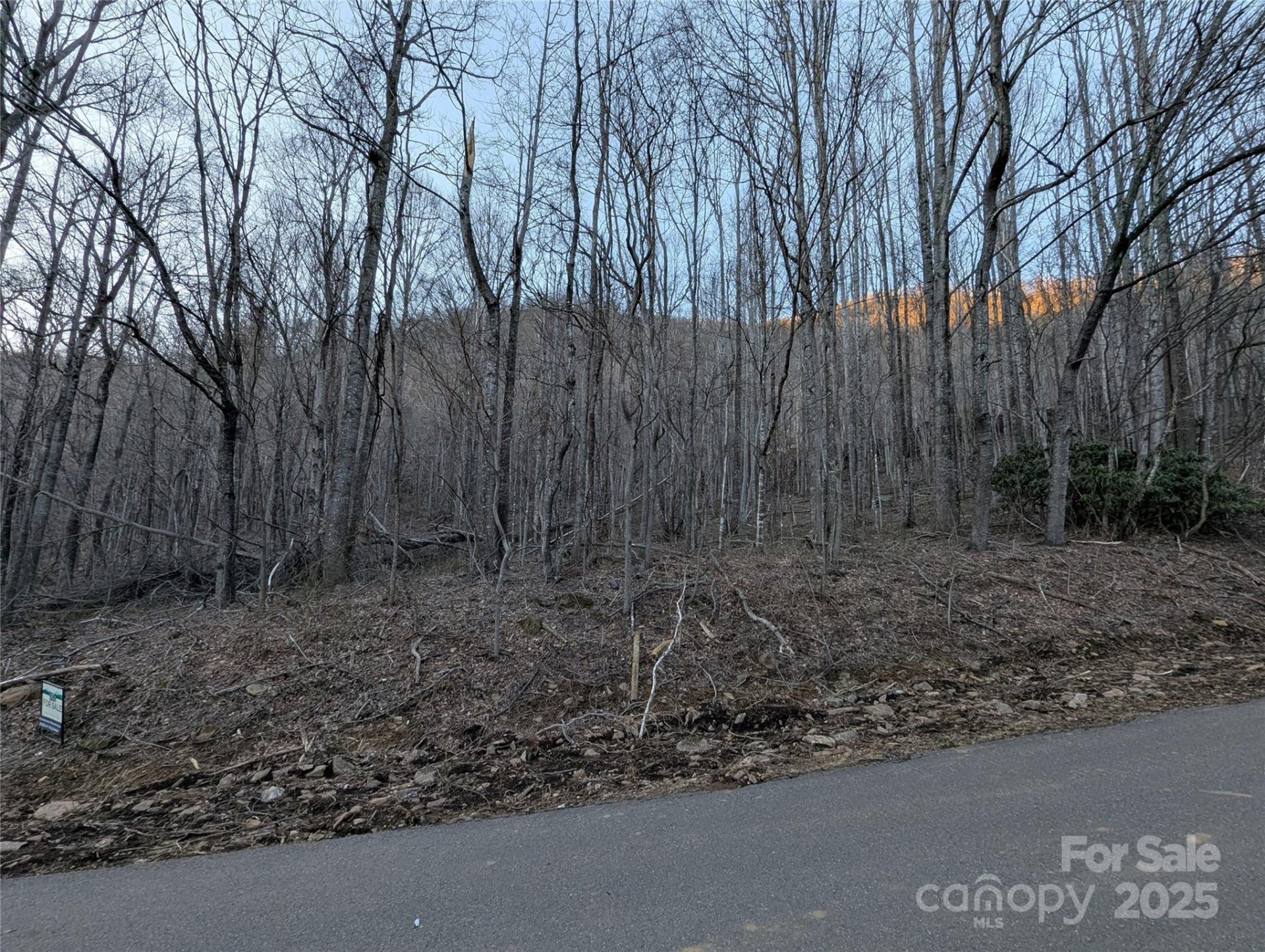 Property image 4 at 47 Wedgewood Terrace, Black Mountain, NC 28711