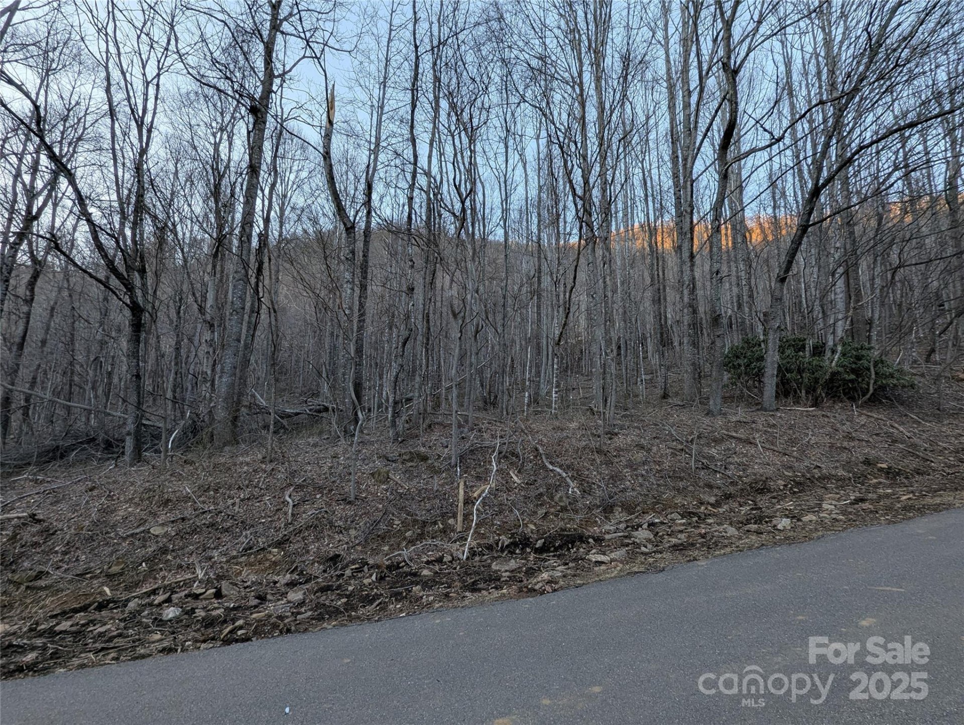 Property image 5 at 47 Wedgewood Terrace, Black Mountain, NC 28711