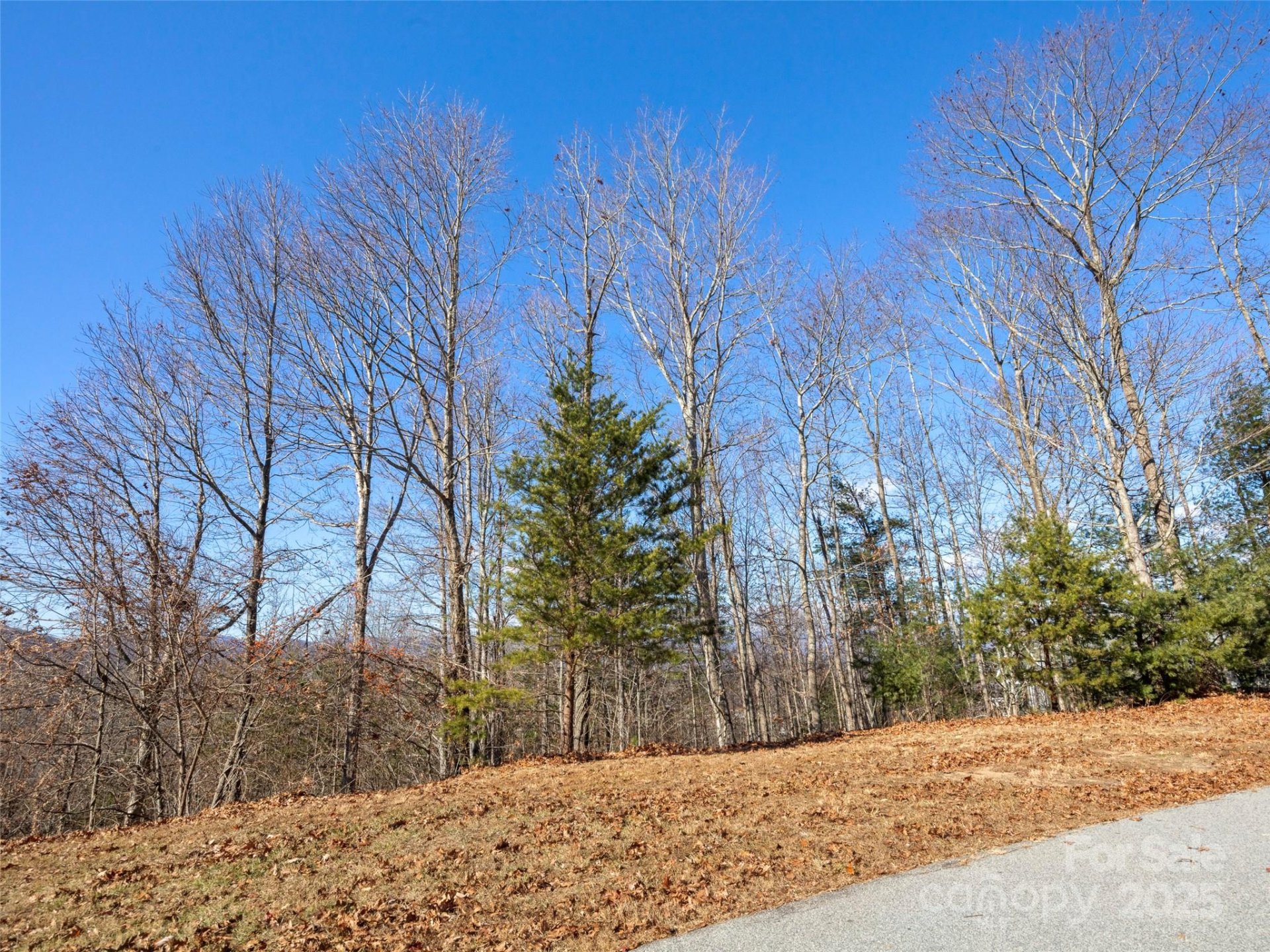 Property image 1 at 34 Chimney Crest Drive, Asheville, NC 28806