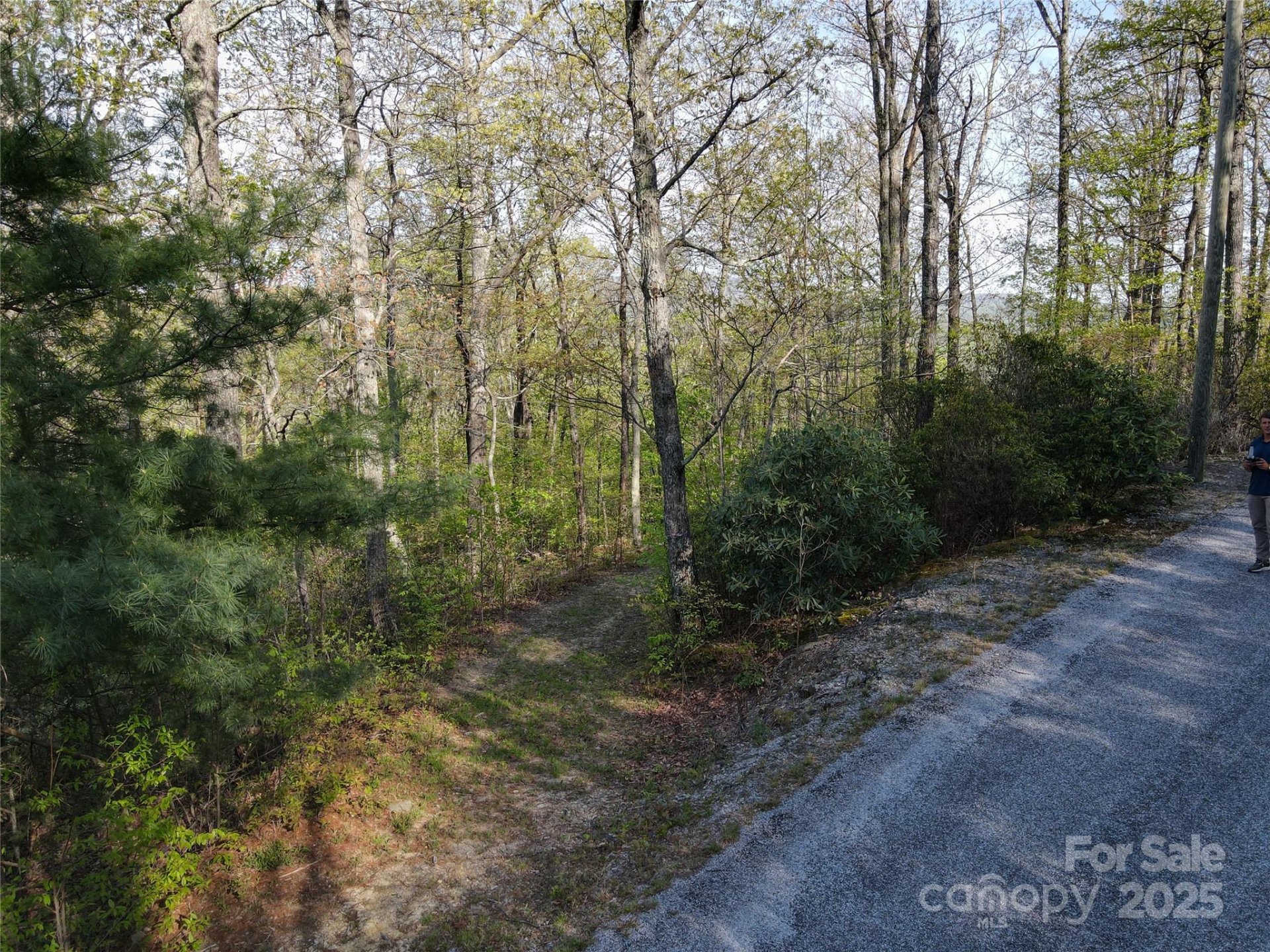 Property image 5 at 0000 Laurel Creek Drive, Hendersonville, NC 28792