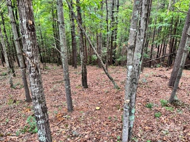 Property image 2 at 1683 Pisgah Preserve Drive, Nebo, NC 28761