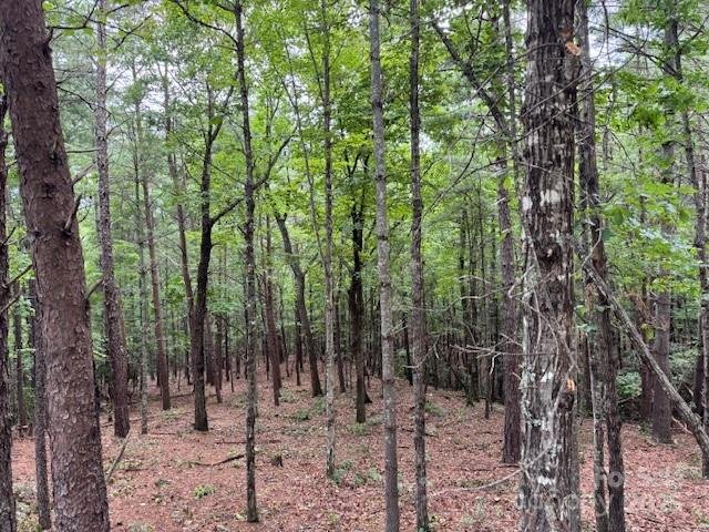 Property image 3 at 1683 Pisgah Preserve Drive, Nebo, NC 28761