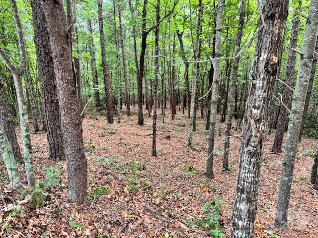 Property image 4 at 1683 Pisgah Preserve Drive, Nebo, NC 28761