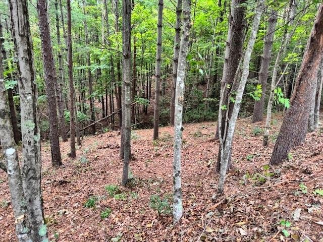 Property image 5 at 1683 Pisgah Preserve Drive, Nebo, NC 28761