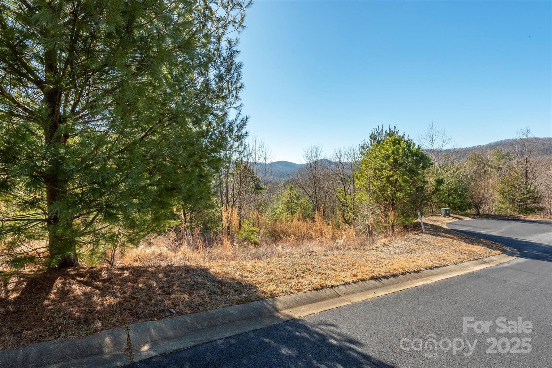 Property image 4 at 99999 Woodhen Way, Horse Shoe, NC 28742