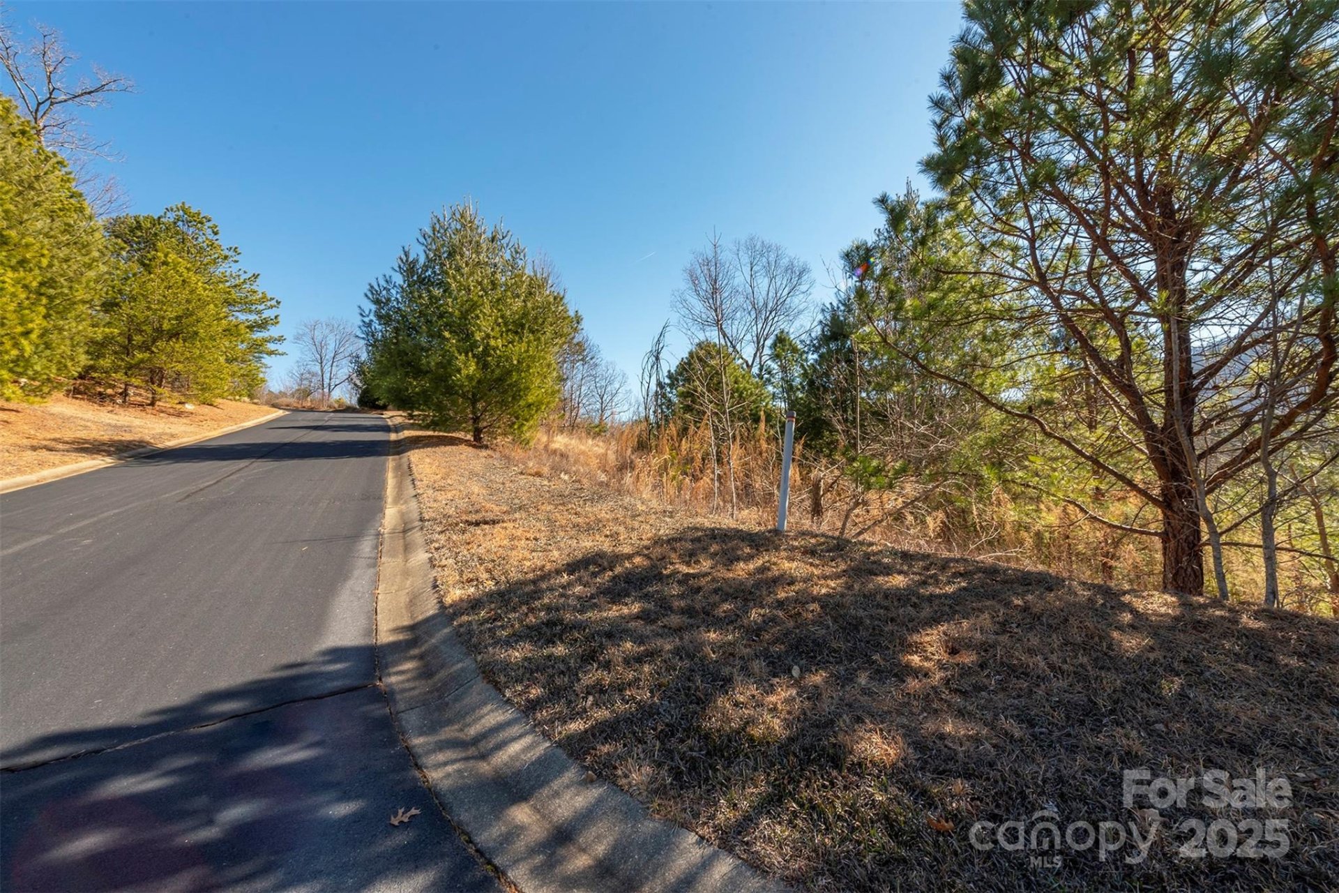 Property image 5 at 99999 Woodhen Way, Horse Shoe, NC 28742