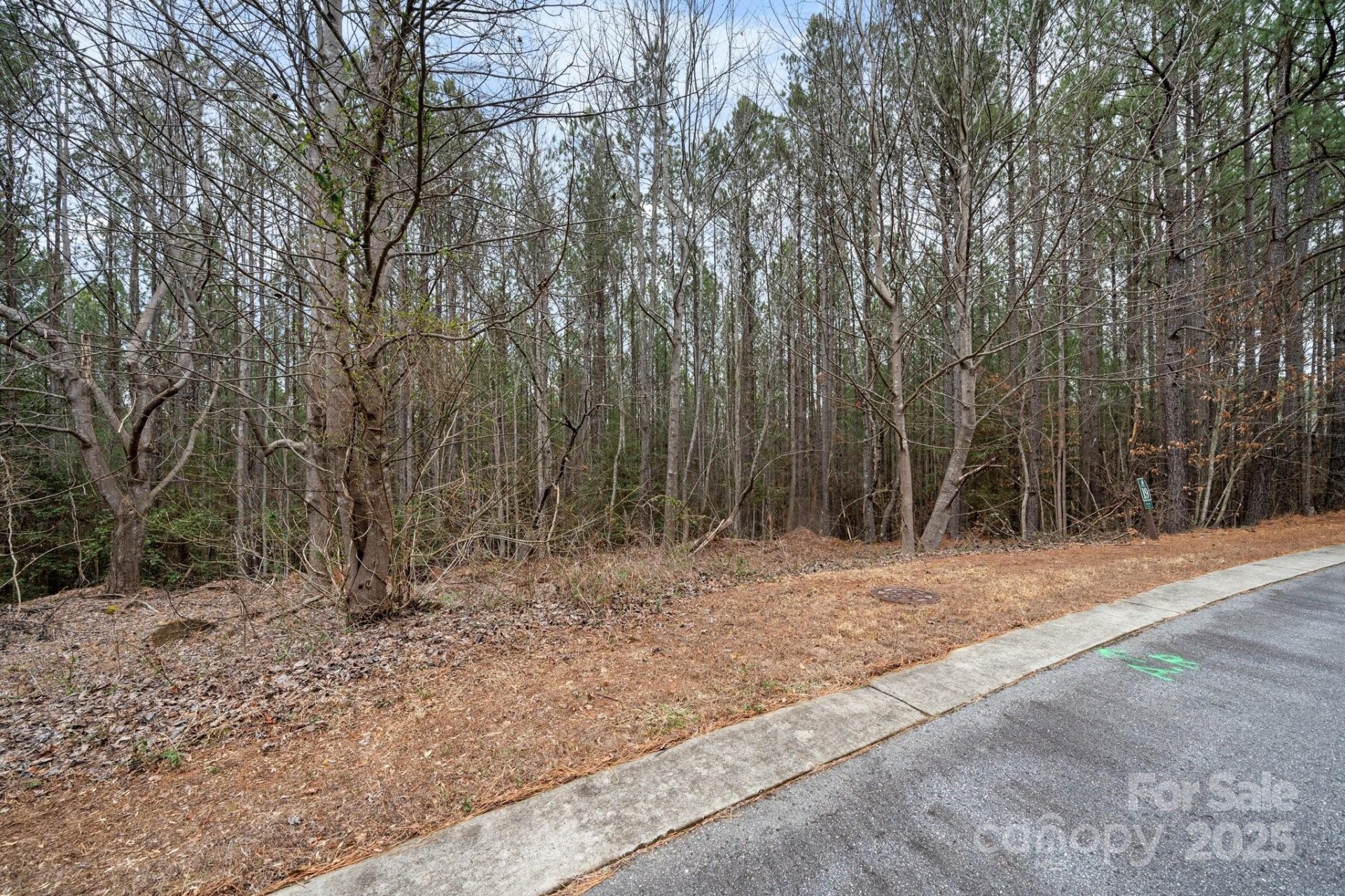 Property image 3 at 207 Grandfathers Pass, Valdese, NC 28690