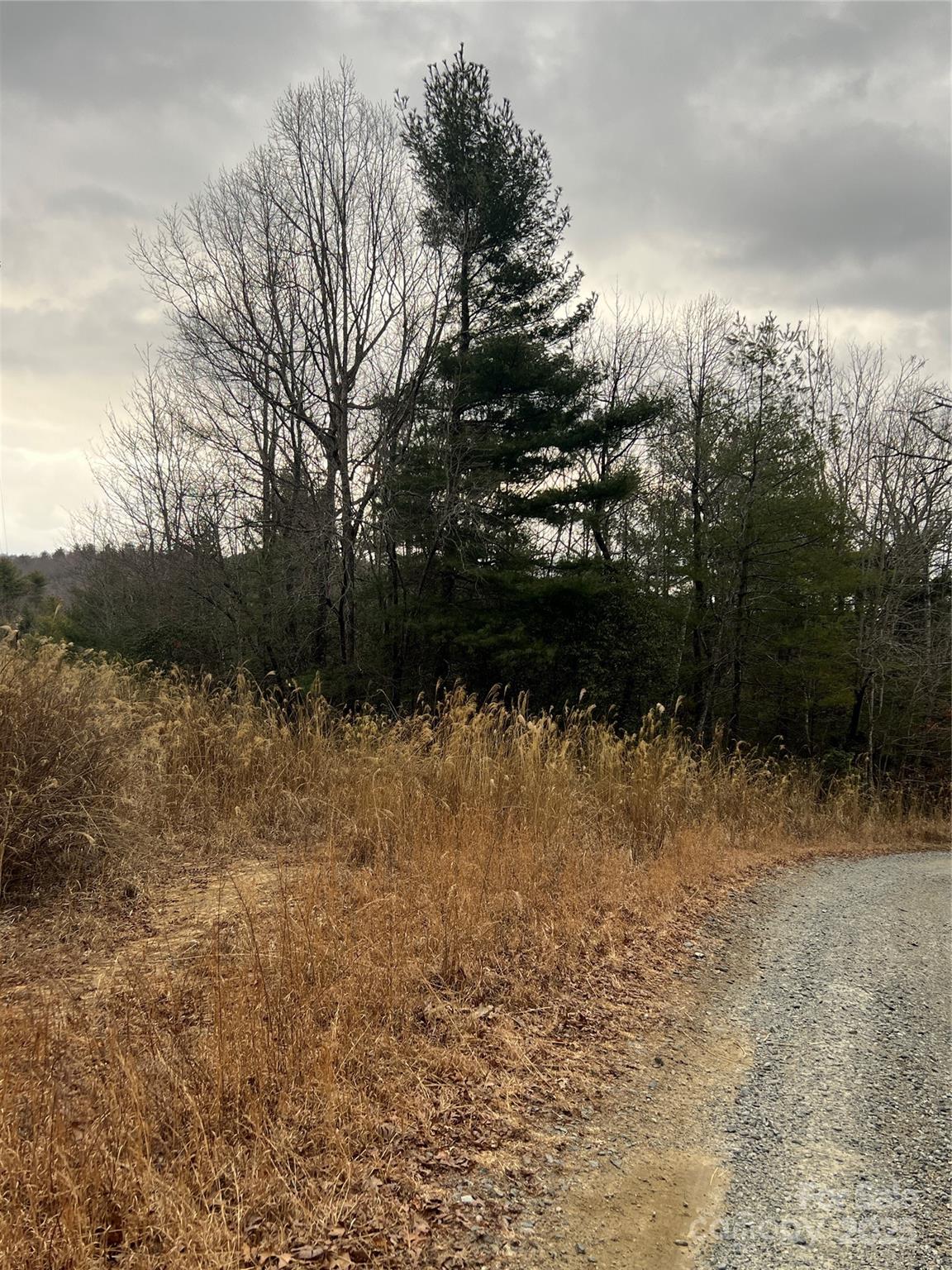 Property at 000 Dogwood Lane, Penrose, NC 28739